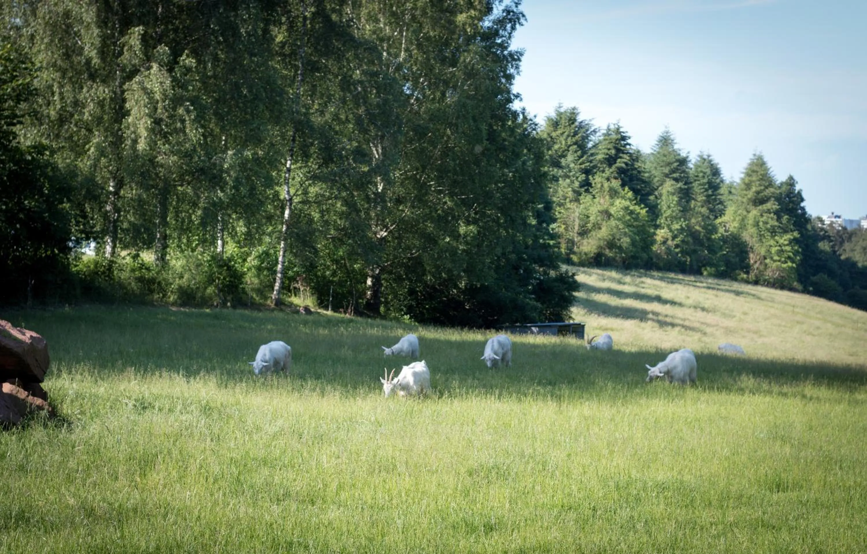 Property building in Hotel Bremerhof