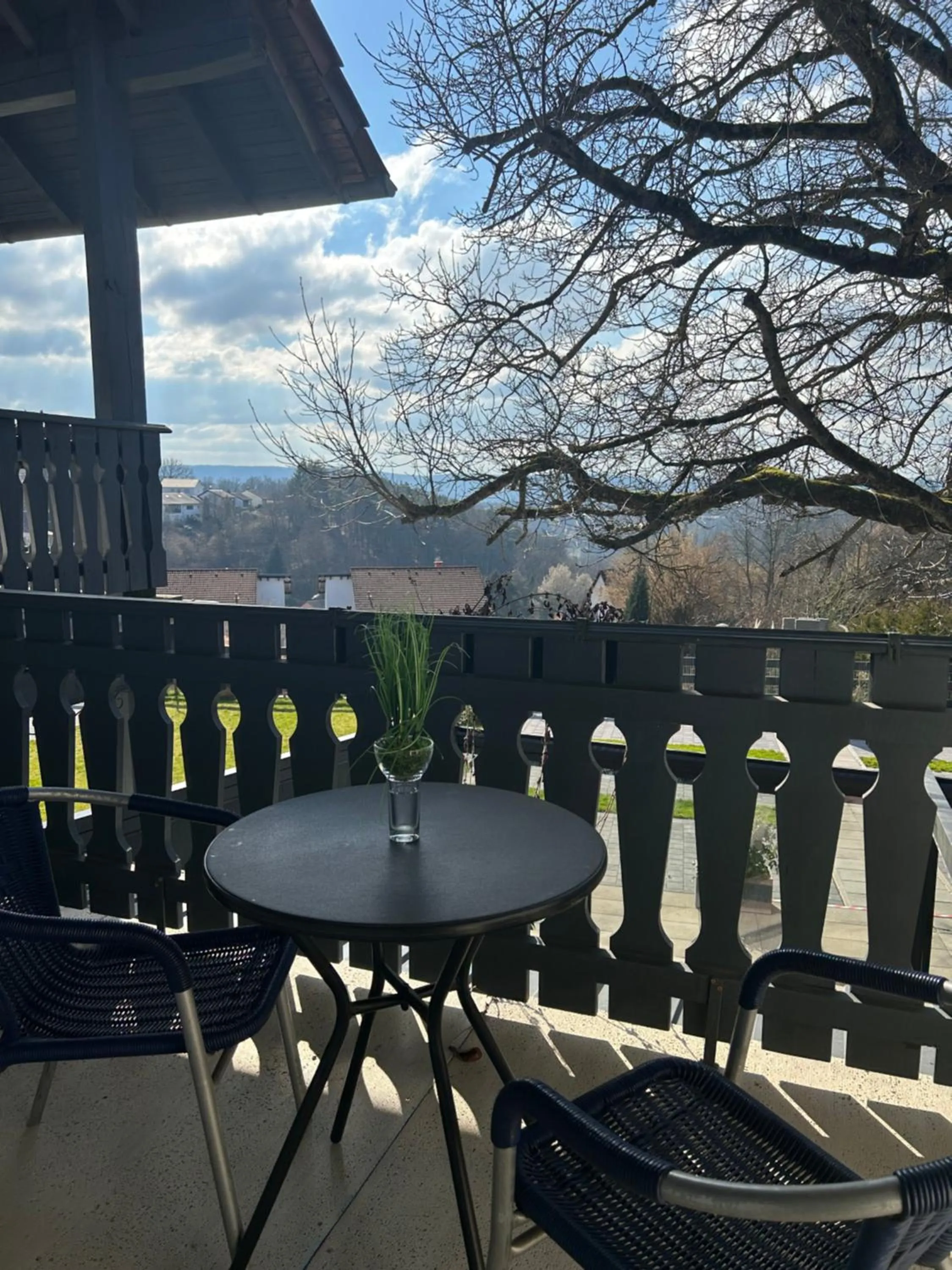 Balcony/Terrace in Hotel Hasselberg