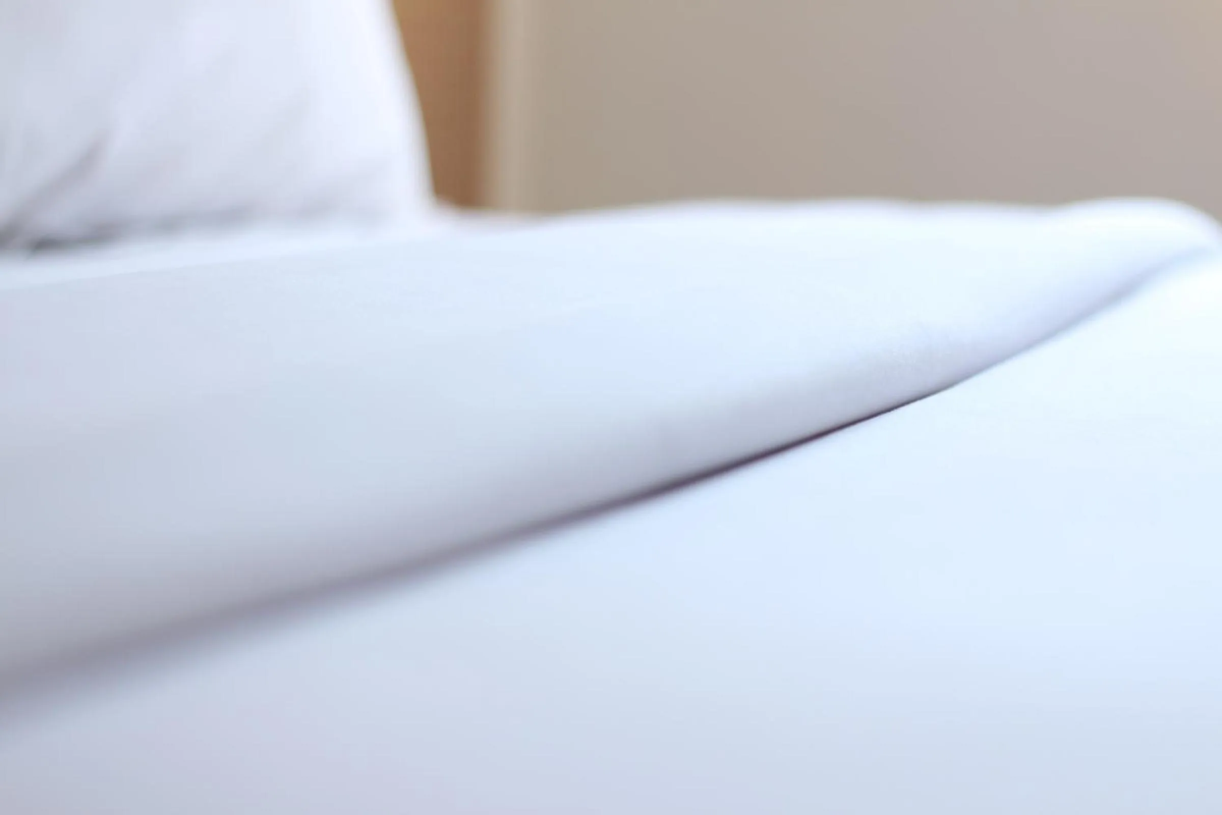 Bedroom, Bed in Hotel Pules