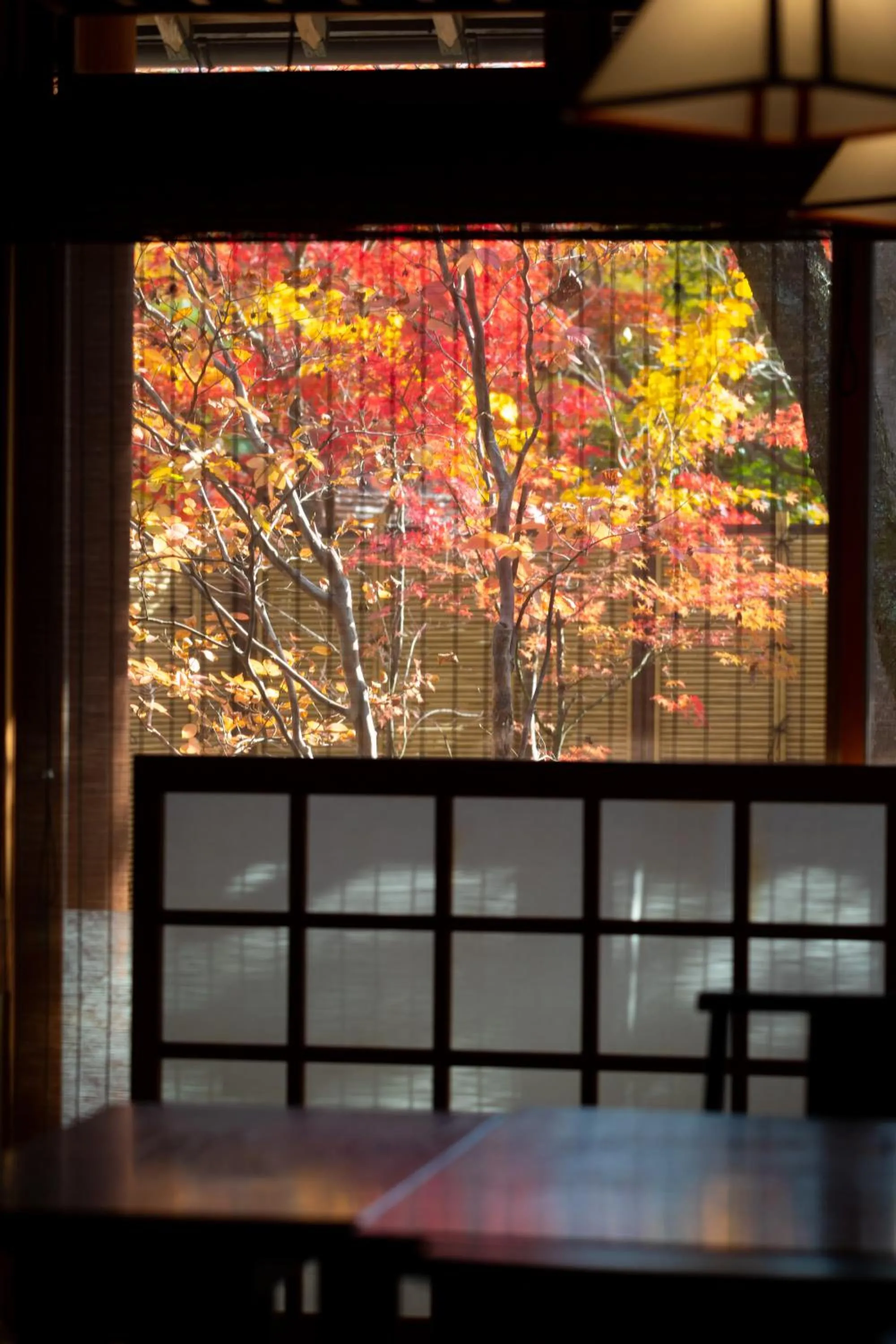 Restaurant/places to eat in Yufuin Santoukan