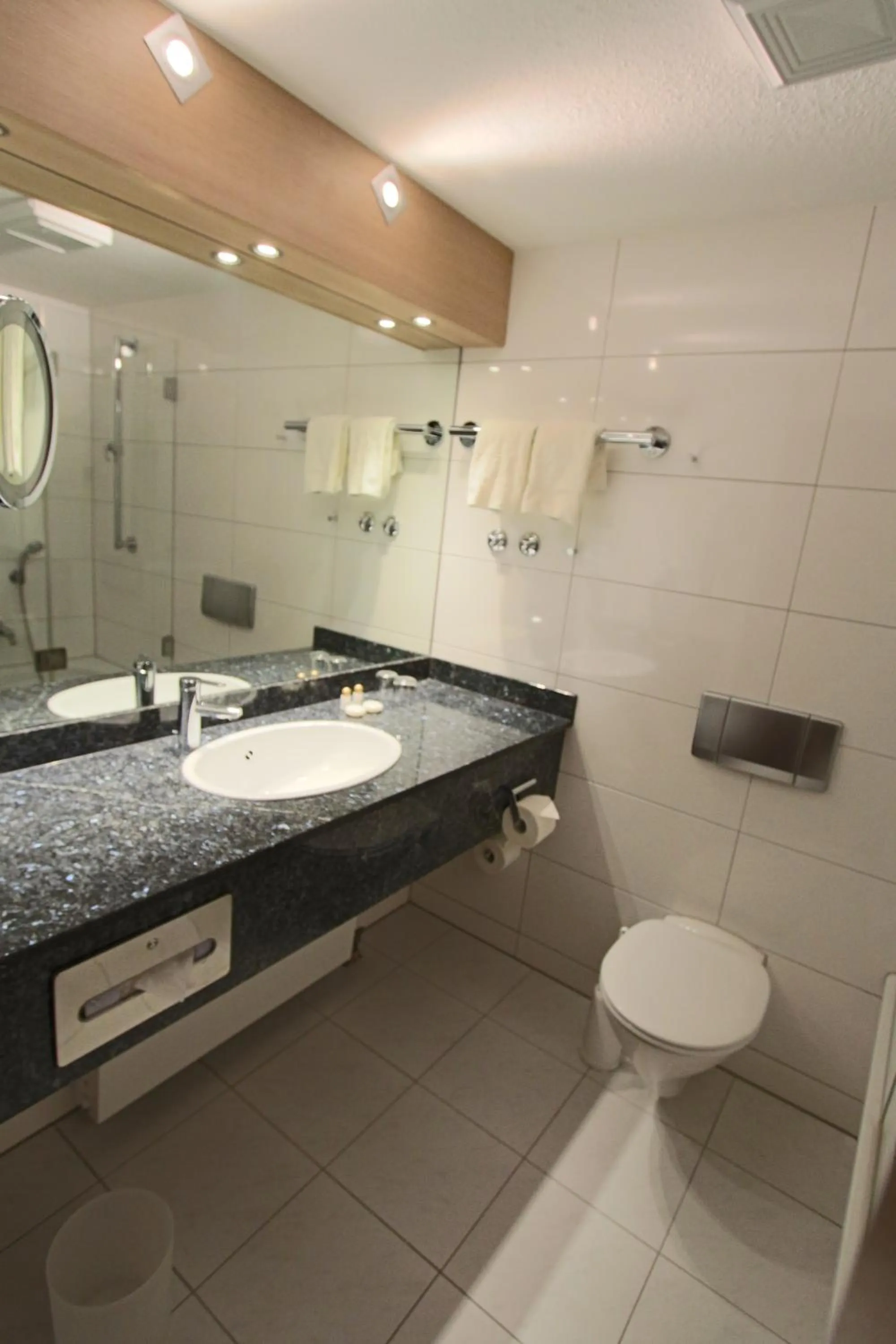 Bathroom in Eden-Hotel