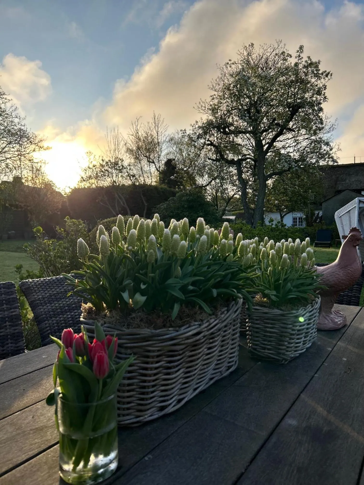 Garden in Boutiquehotel Seiler Hof Keitum