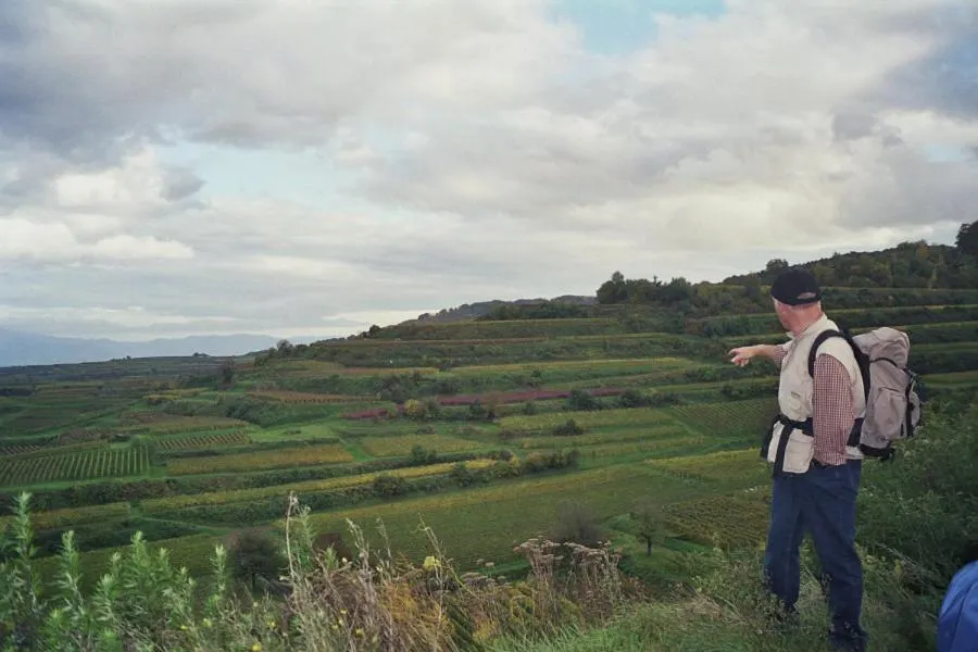 Area and facilities in TIPTOP Hotel Garni Pfauen