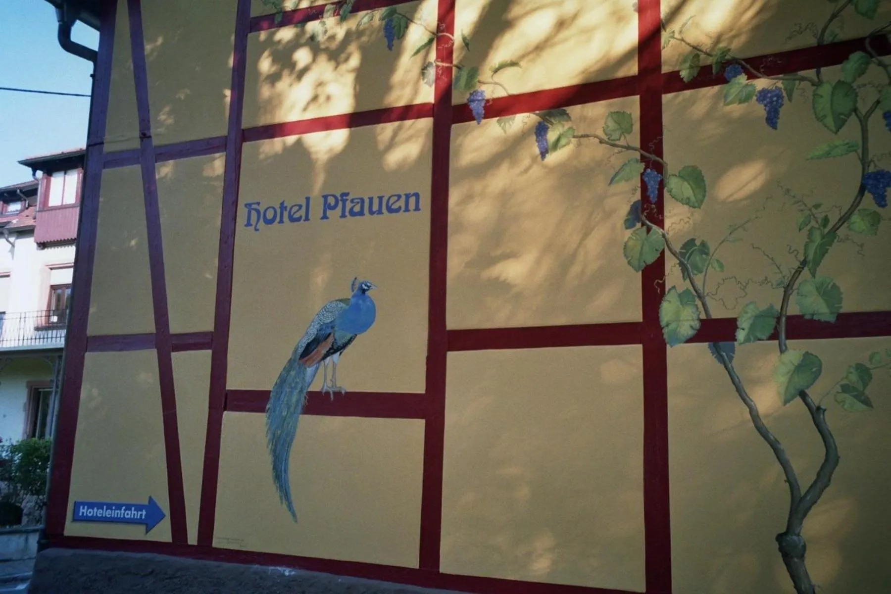 Facade/entrance in TIPTOP Hotel Garni Pfauen