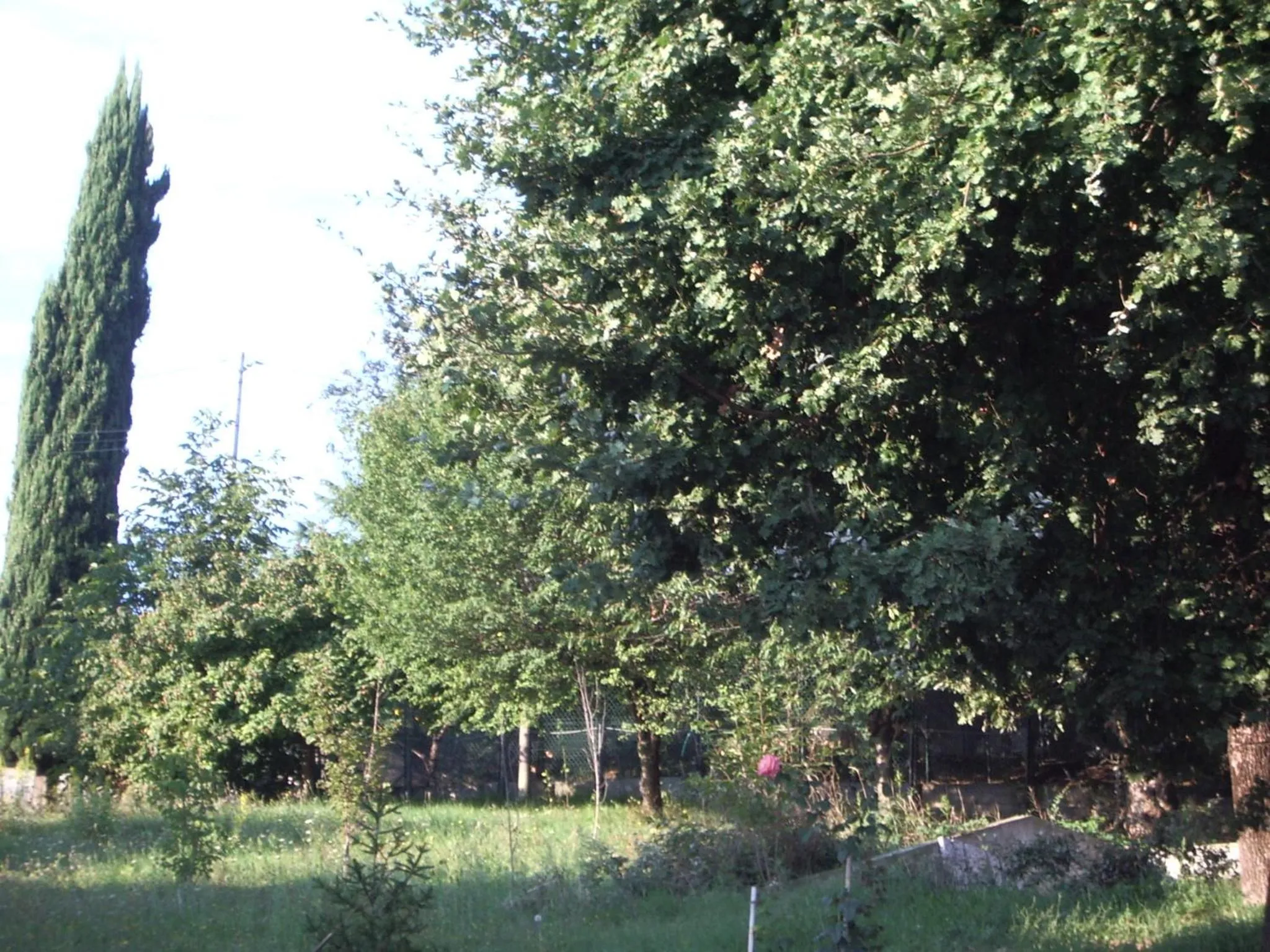 Garden in B&B La Pilastrina