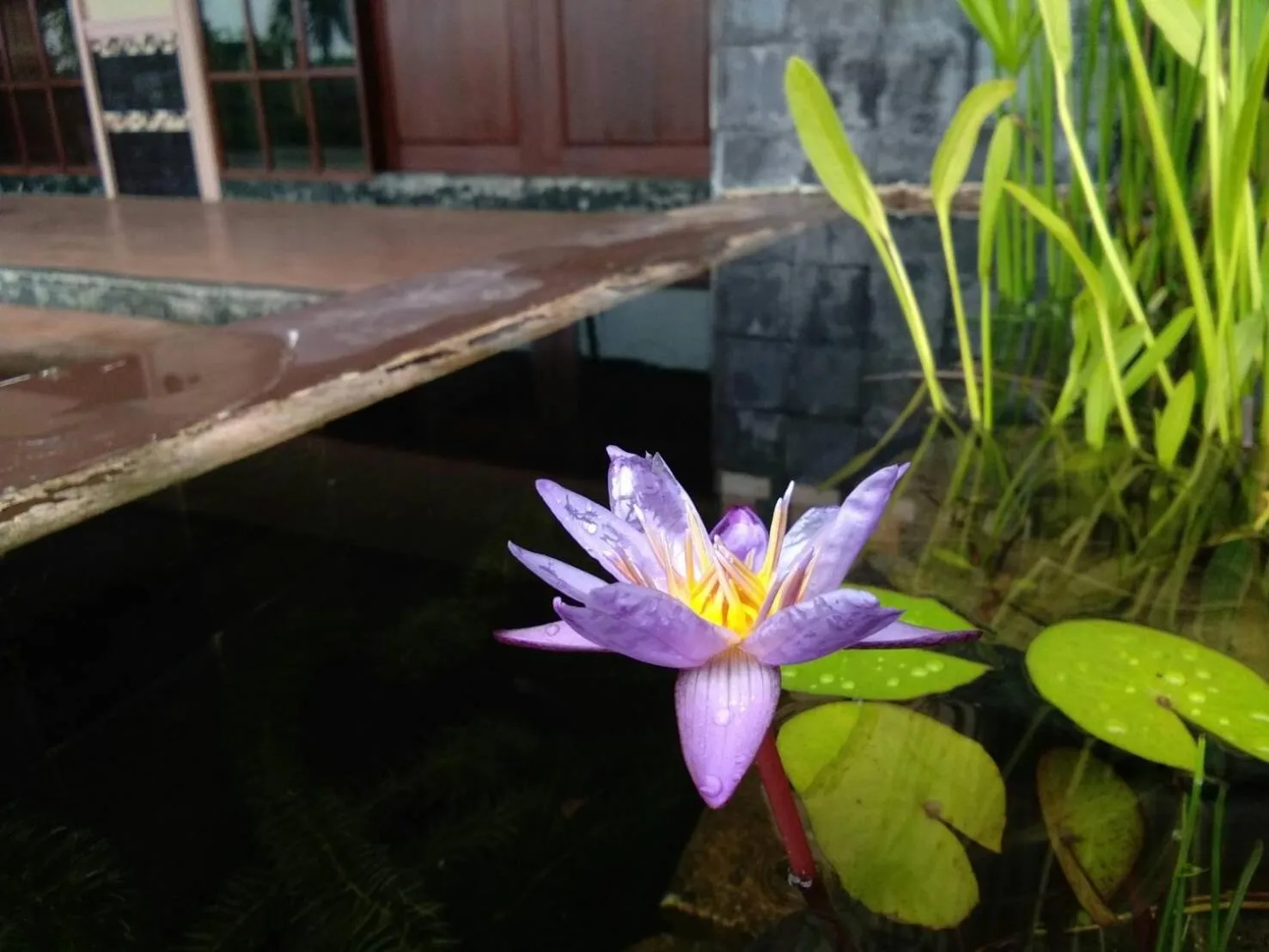 Swimming Pool in Northstar Hotel And Resort