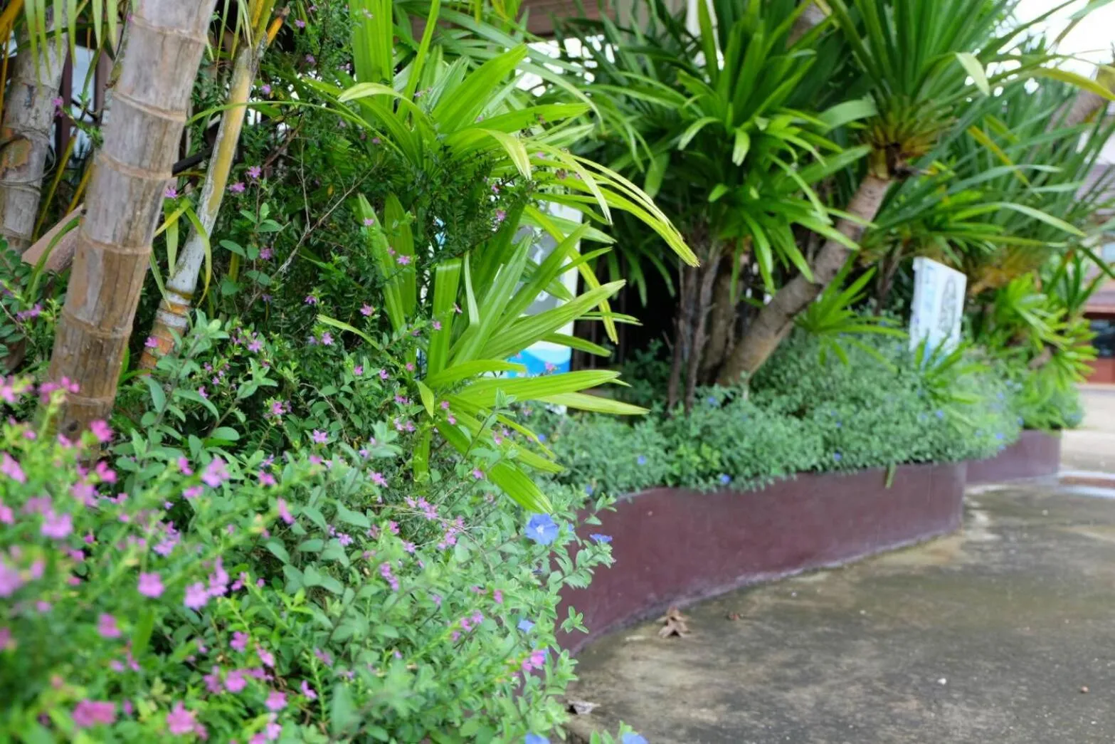 Garden in Northstar Hotel And Resort