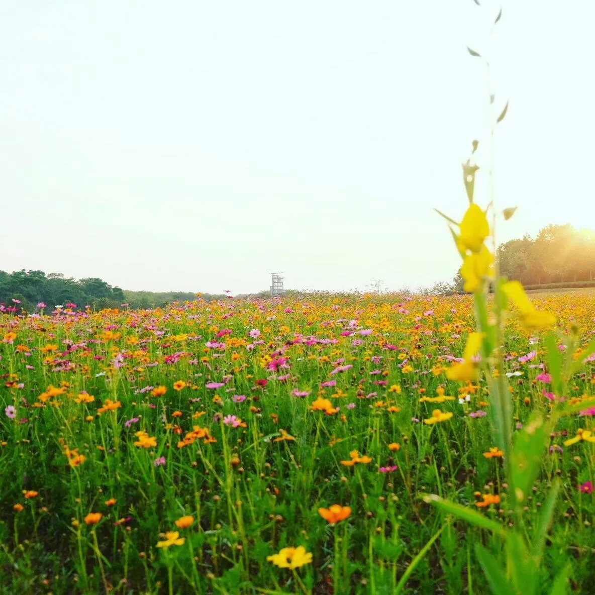 Northstar Hotel And Resort