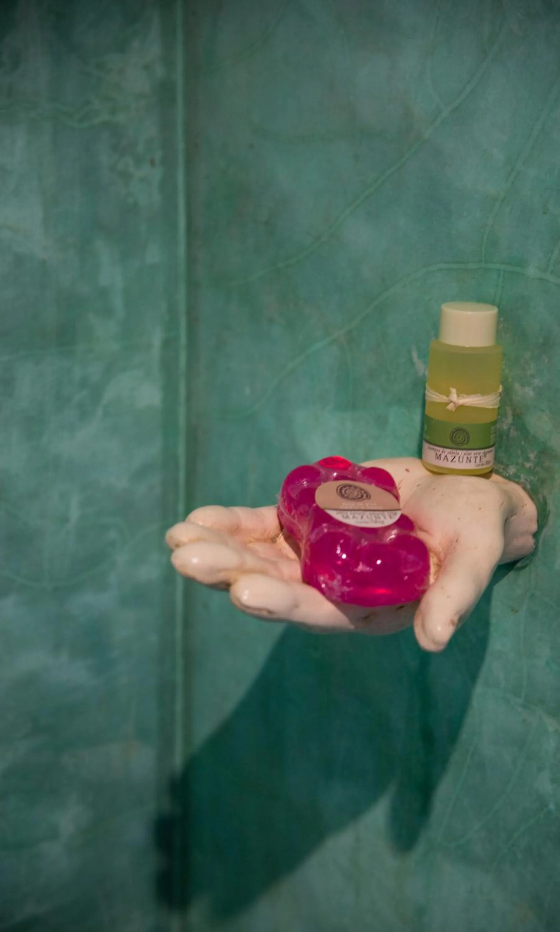 Hotel Pochote Mazunte