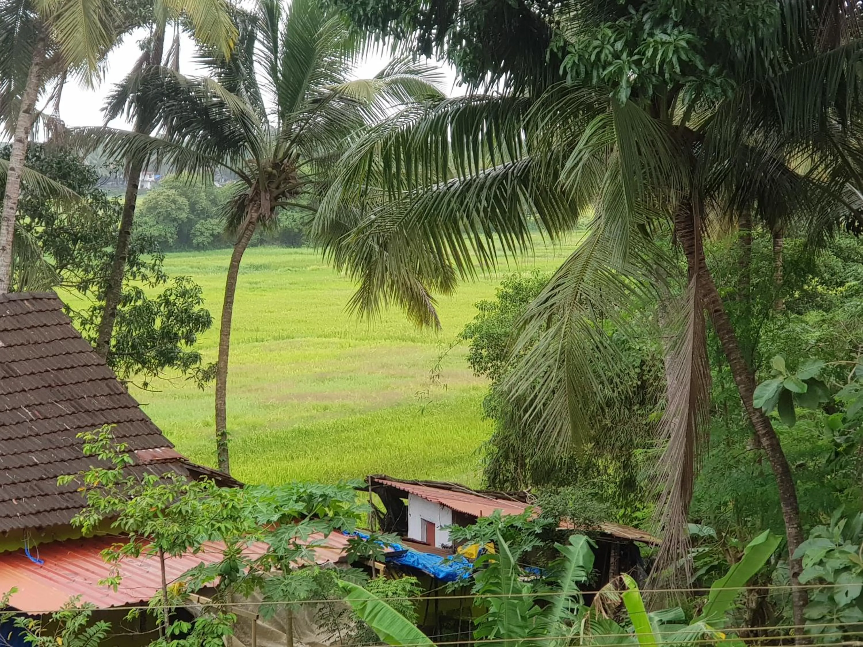 View (from property/room) in Godwill Kimo Guest house Seraulim