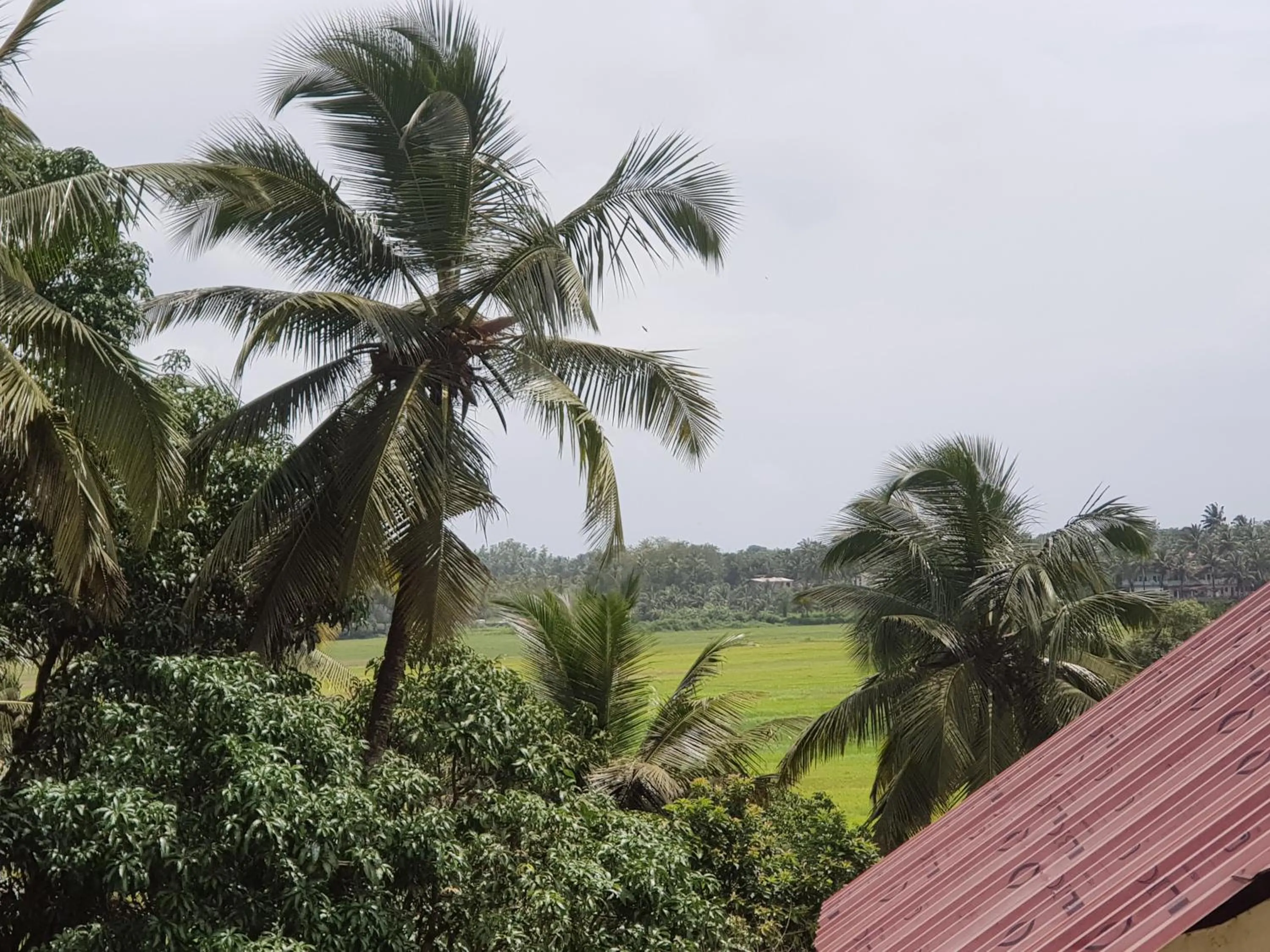 View (from property/room) in Godwill Kimo Guest house Seraulim