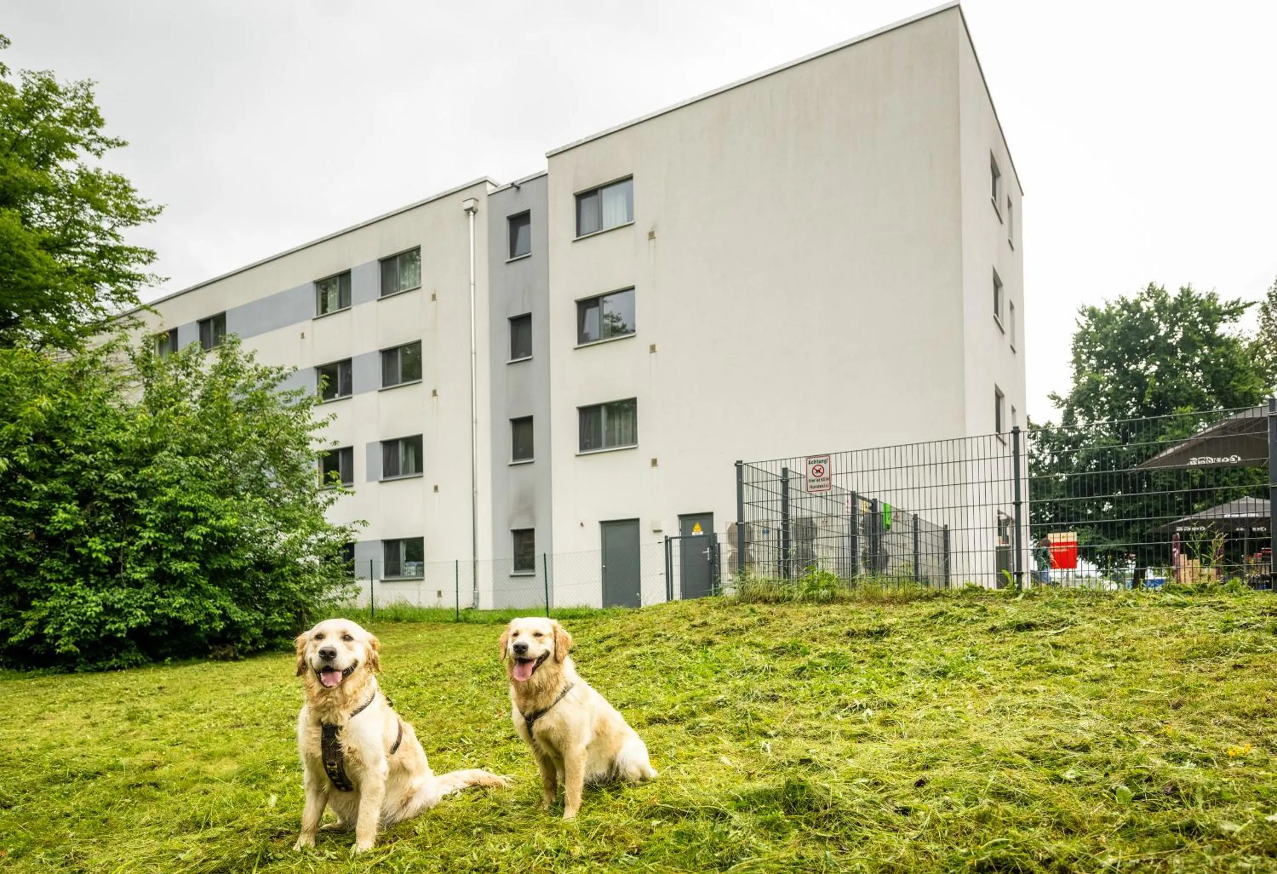 pet friendly in Serways Hotel Bruchsal West