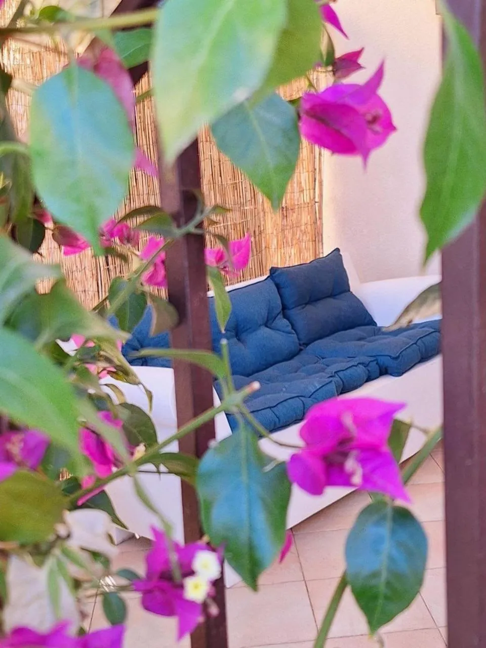 Balcony/Terrace in Sogni D'Oro