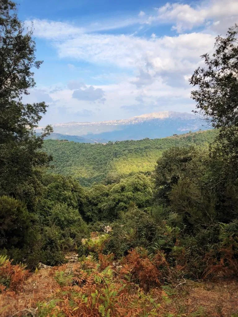 Orgosolo B&B Sardegna