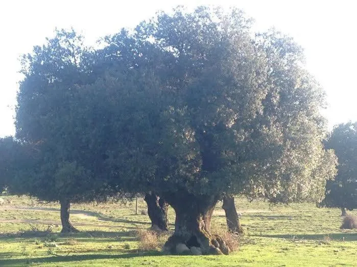 Orgosolo B&B Sardegna