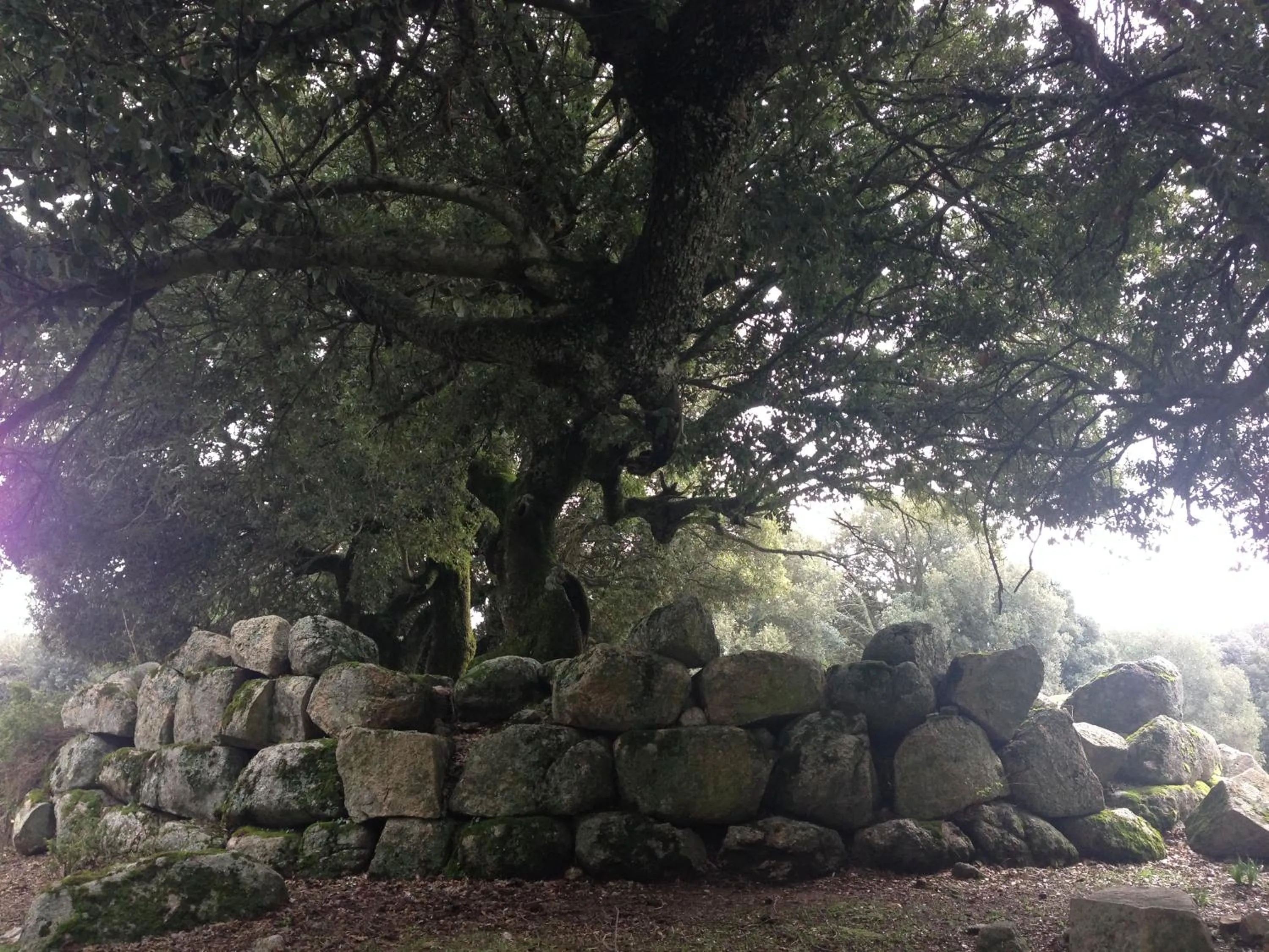 Orgosolo B&B Sardegna