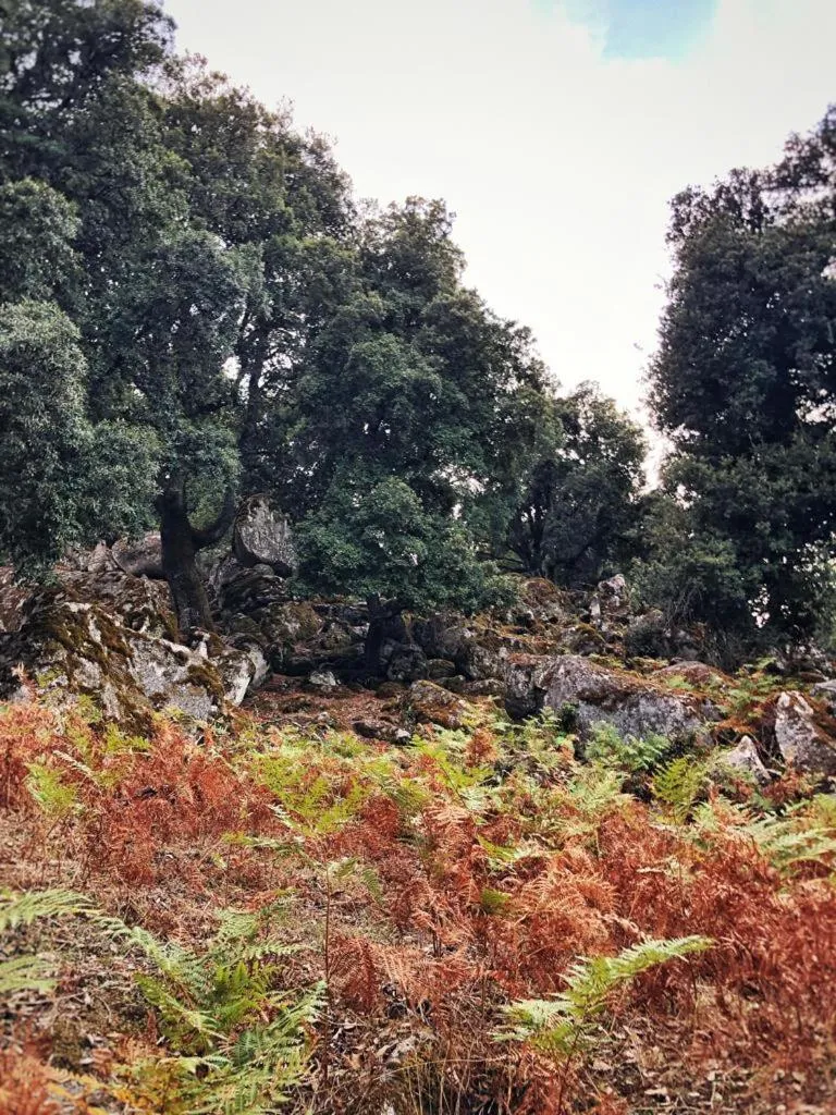 Orgosolo B&B Sardegna