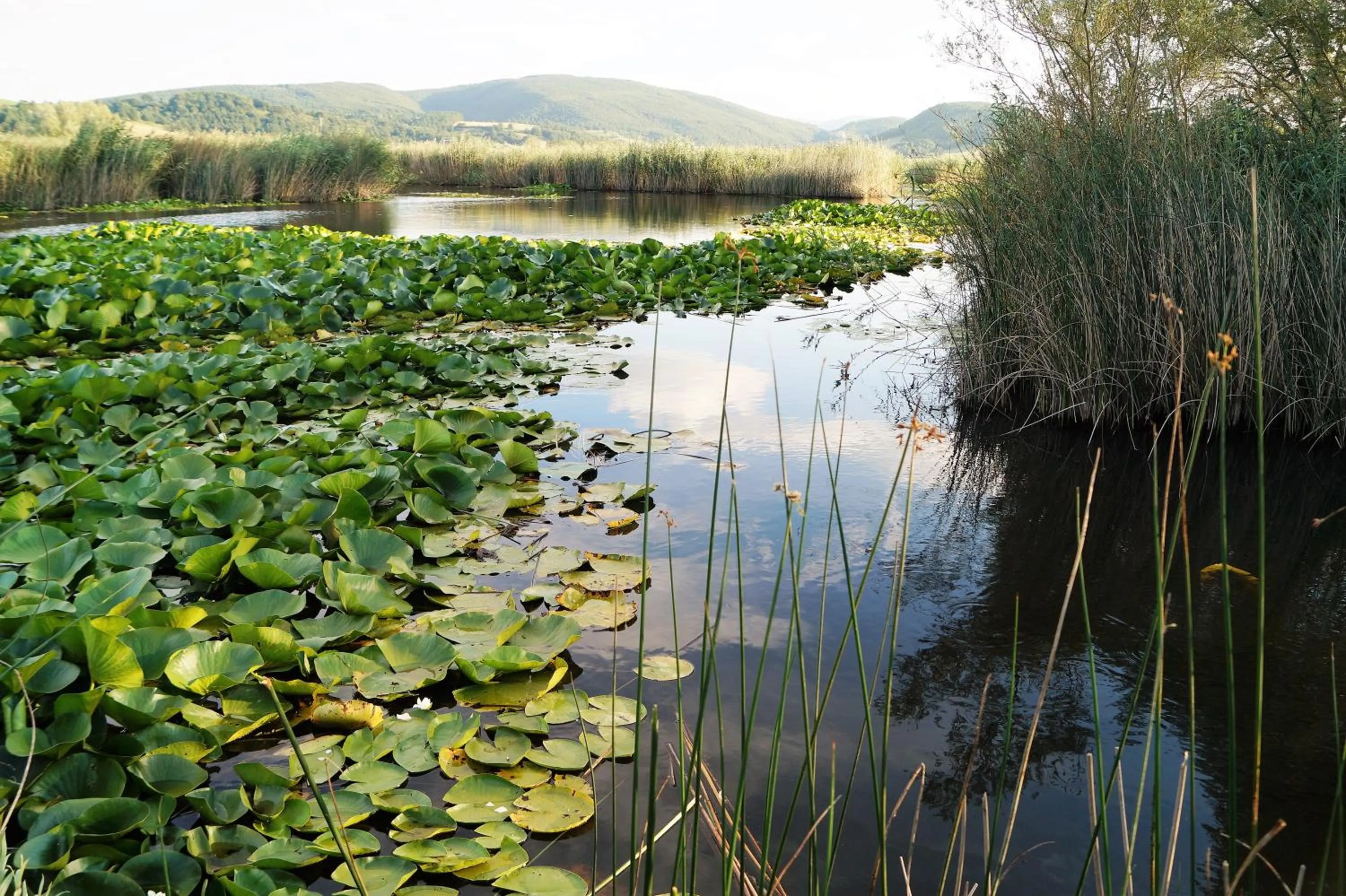 B&B Il Sentiero nel Bosco