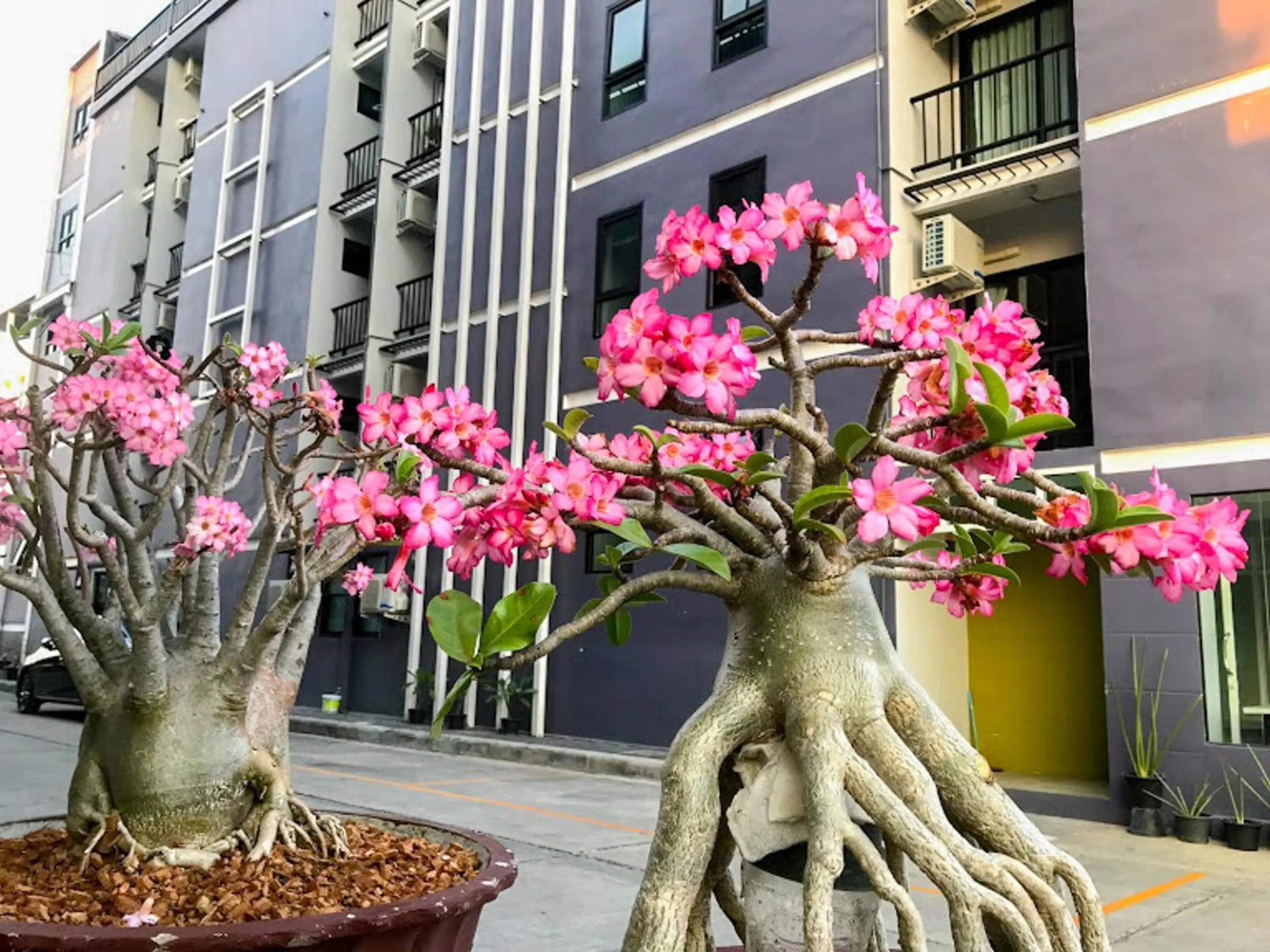 Property building in Delighted Bangkok Hotel