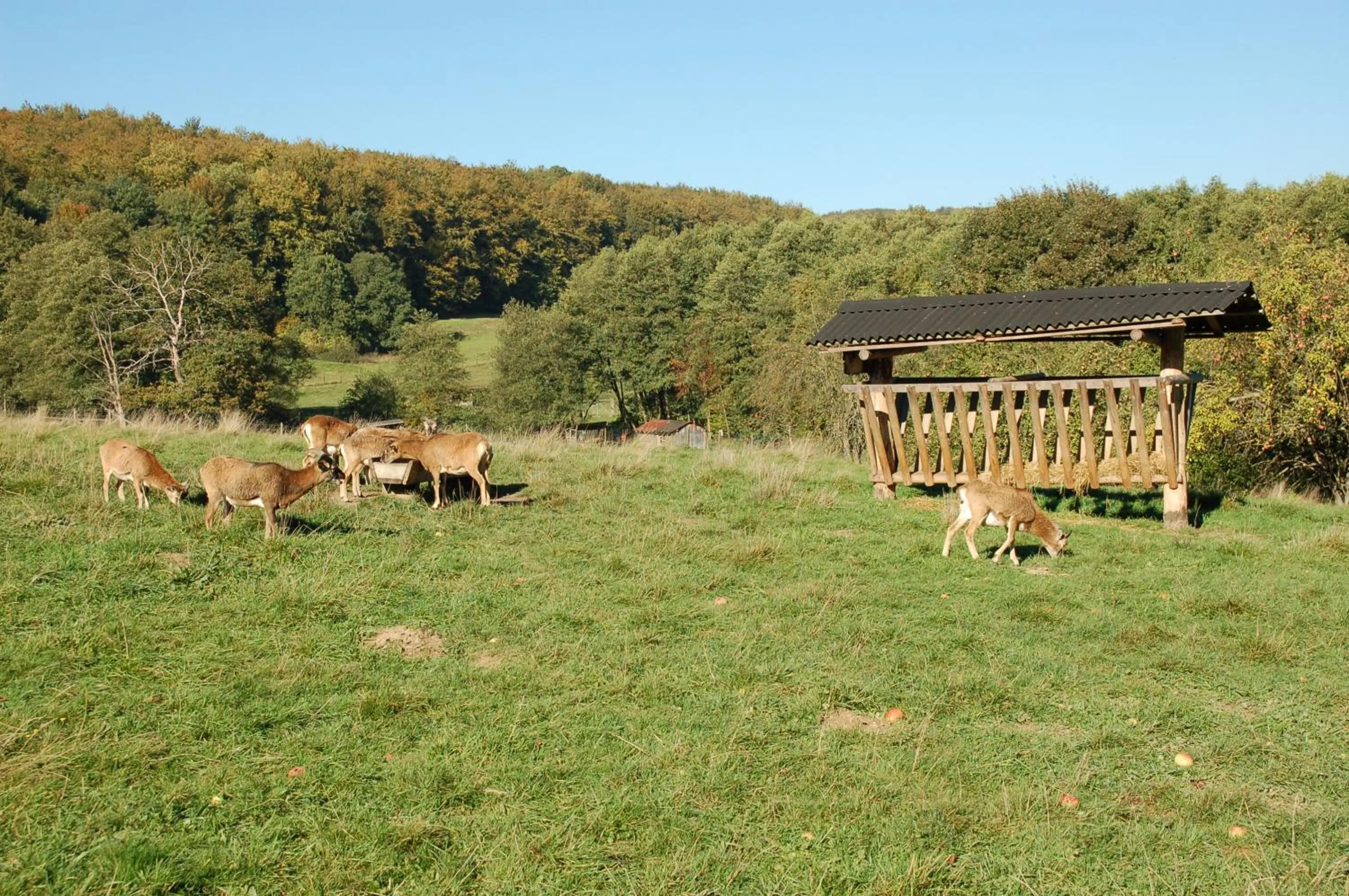 Nearby landmark in Wohlfühlhotel DER JÄGERHOF