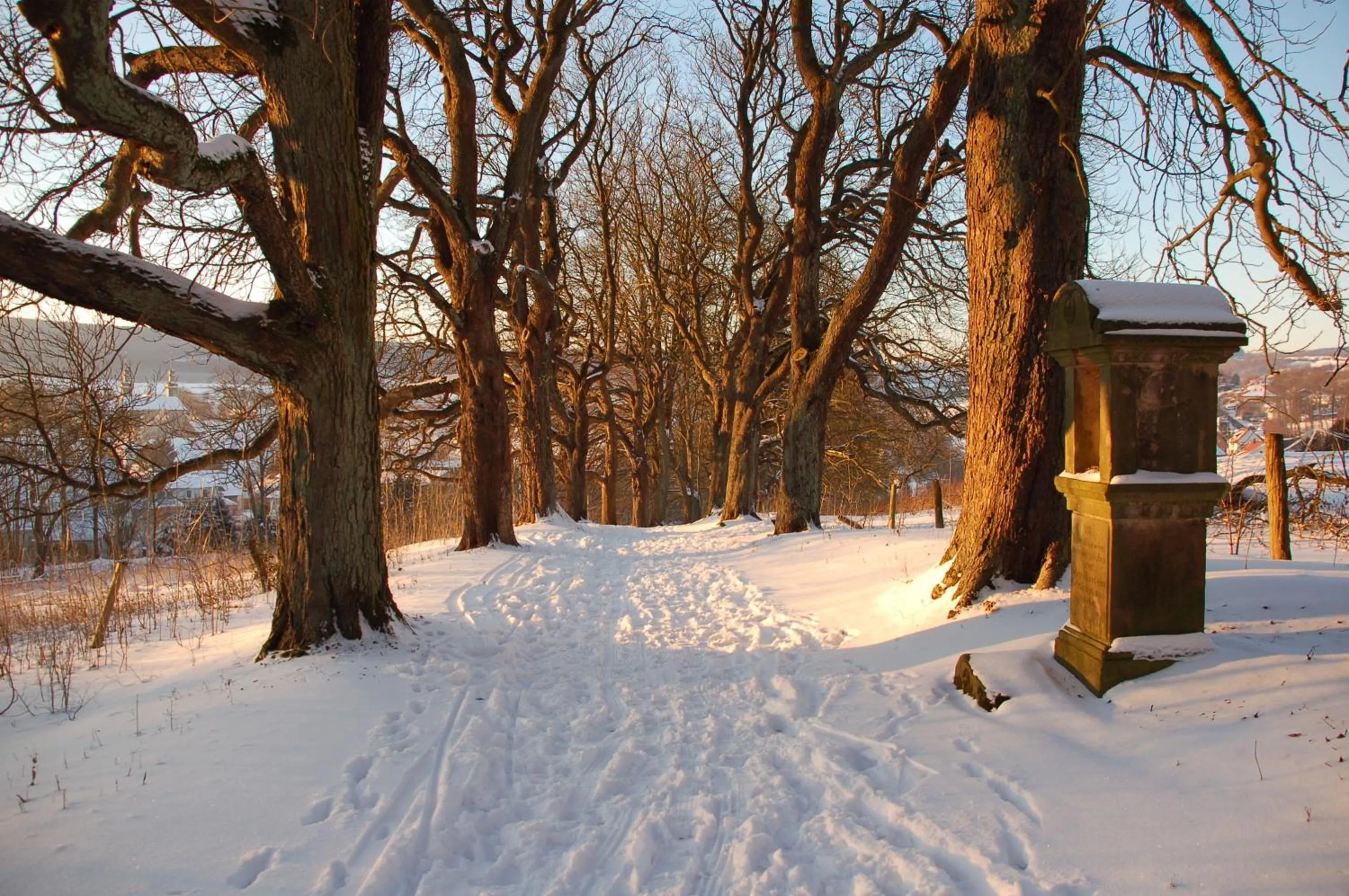 Off site in Wohlfühlhotel DER JÄGERHOF