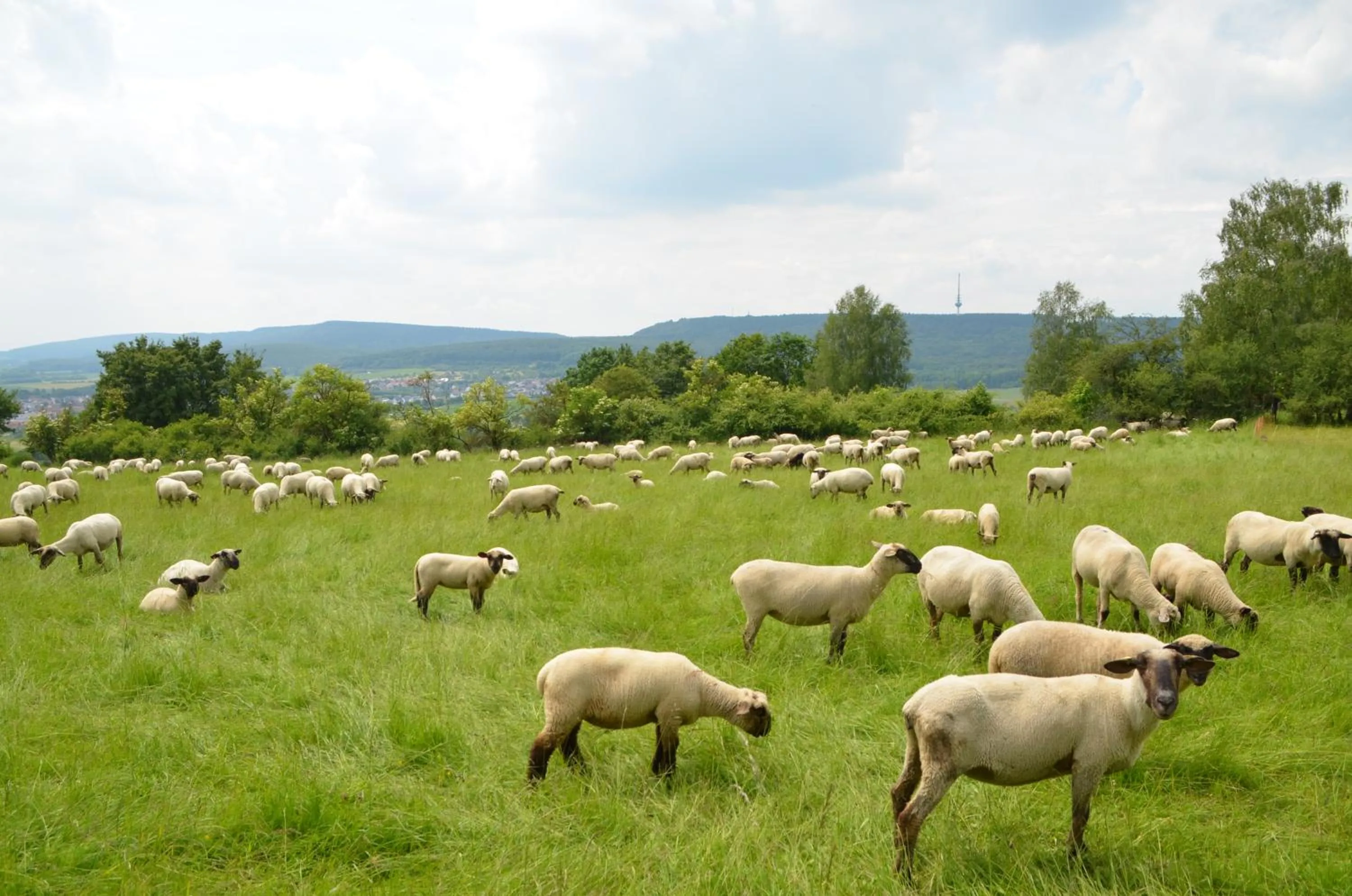 Off site in Wohlfühlhotel DER JÄGERHOF