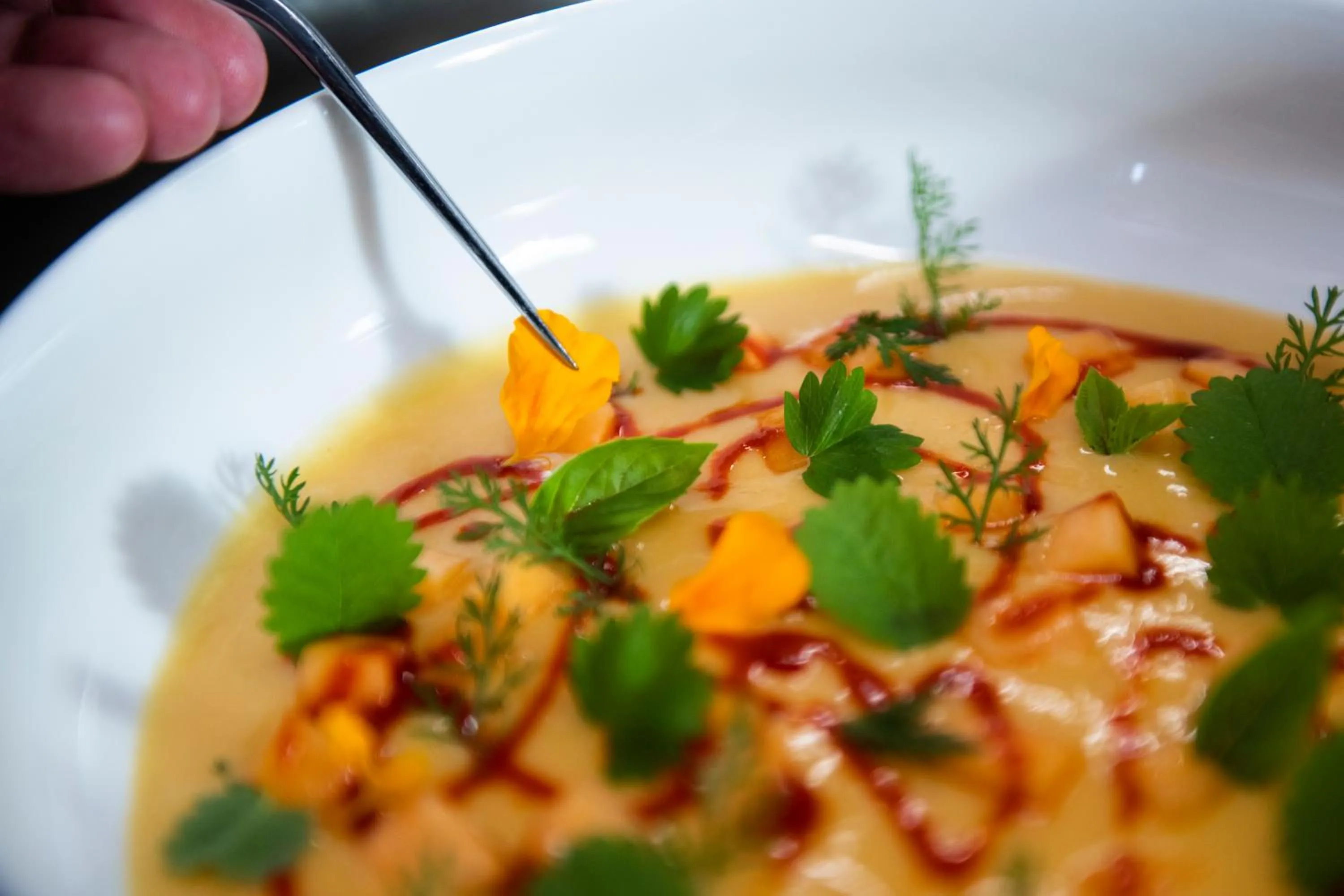 Restaurant/places to eat in Magari Estates Boutique Hotel