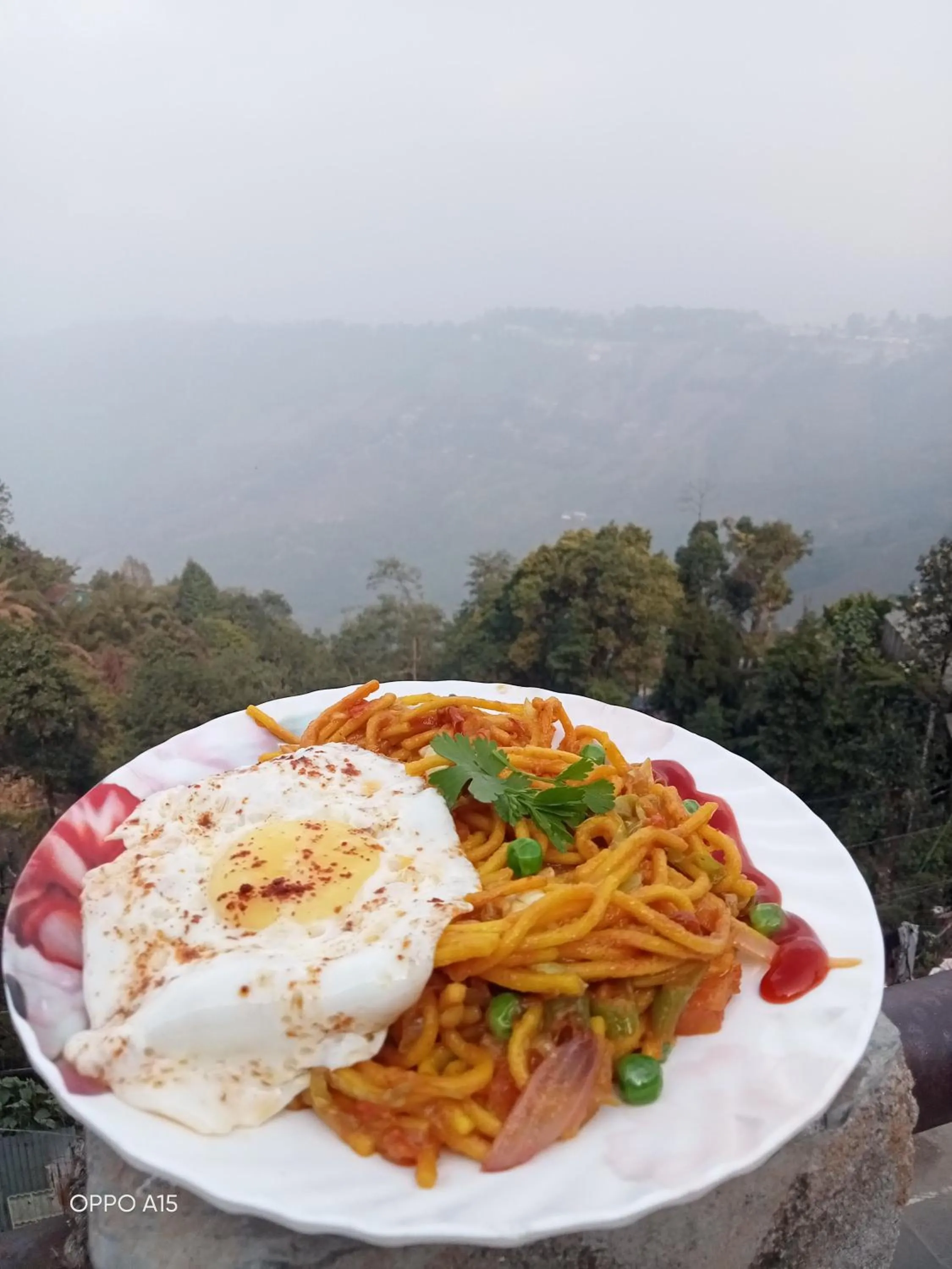 Madys view -Aaple Ghar