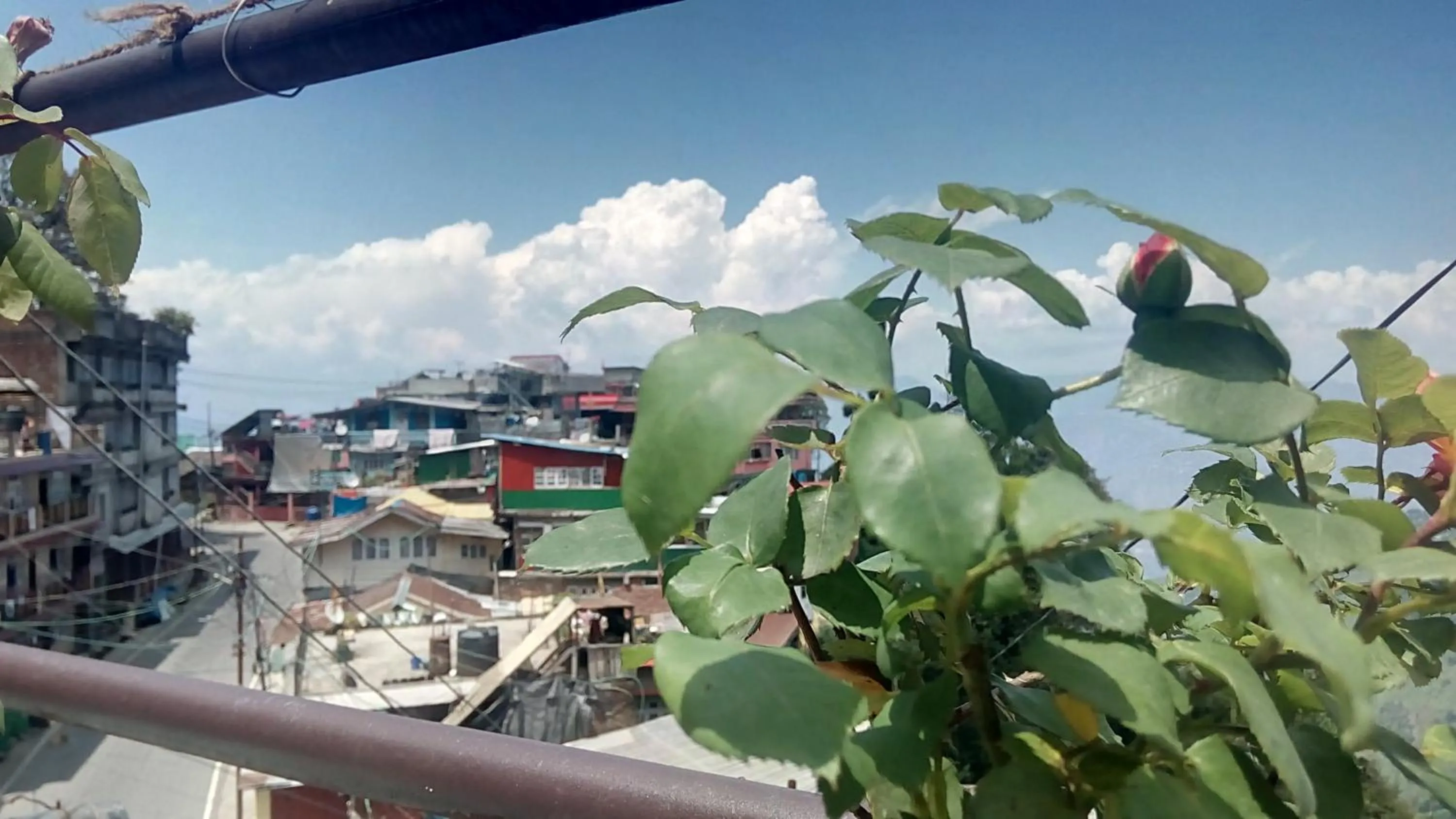 Madys view -Aaple Ghar