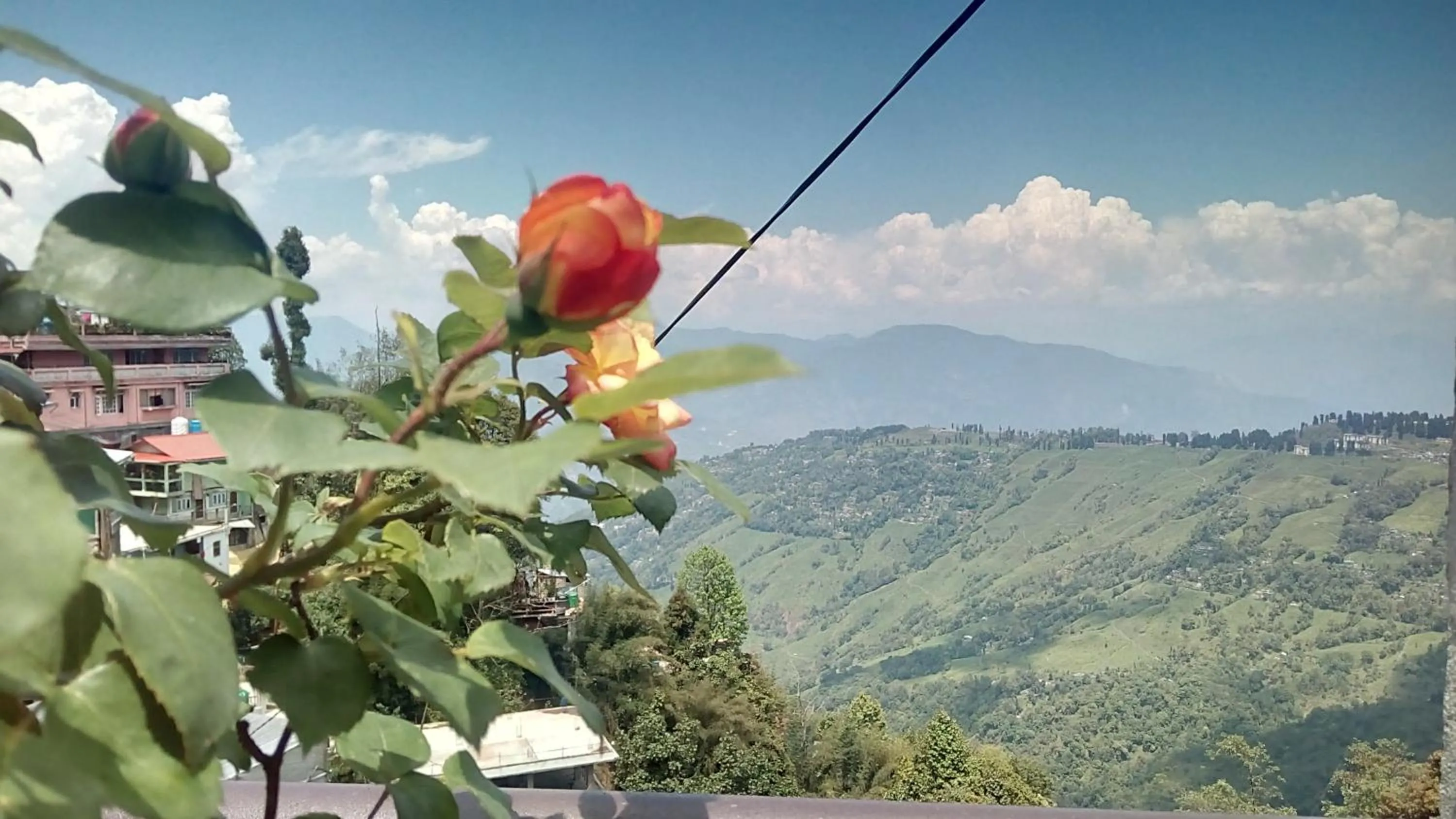 Madys view -Aaple Ghar