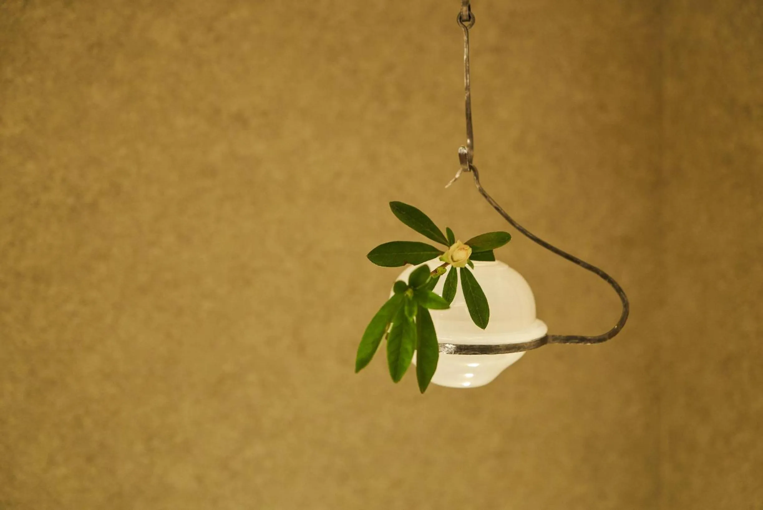 Decorative detail in 凜庵 LIAN_KANAZAWA