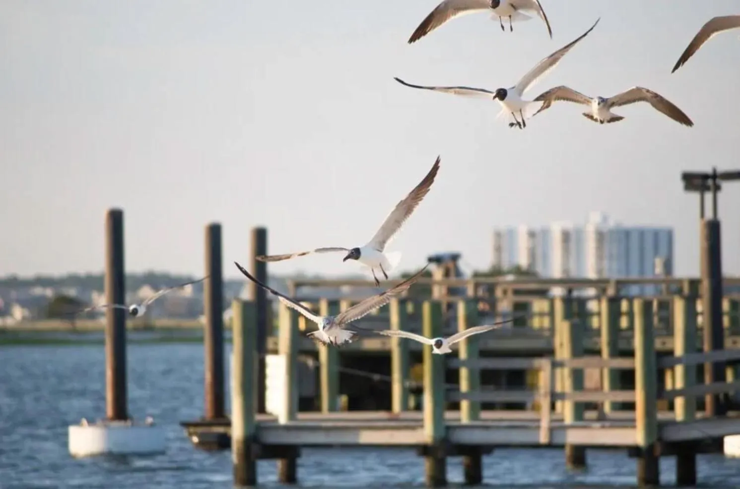 Other in Water Street Retreat 14