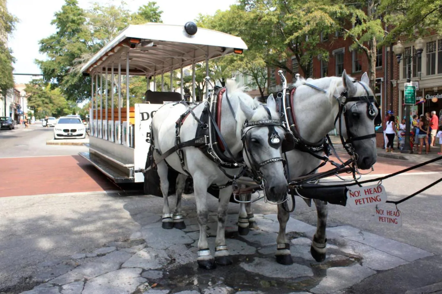 Other in Water Street Retreat 14