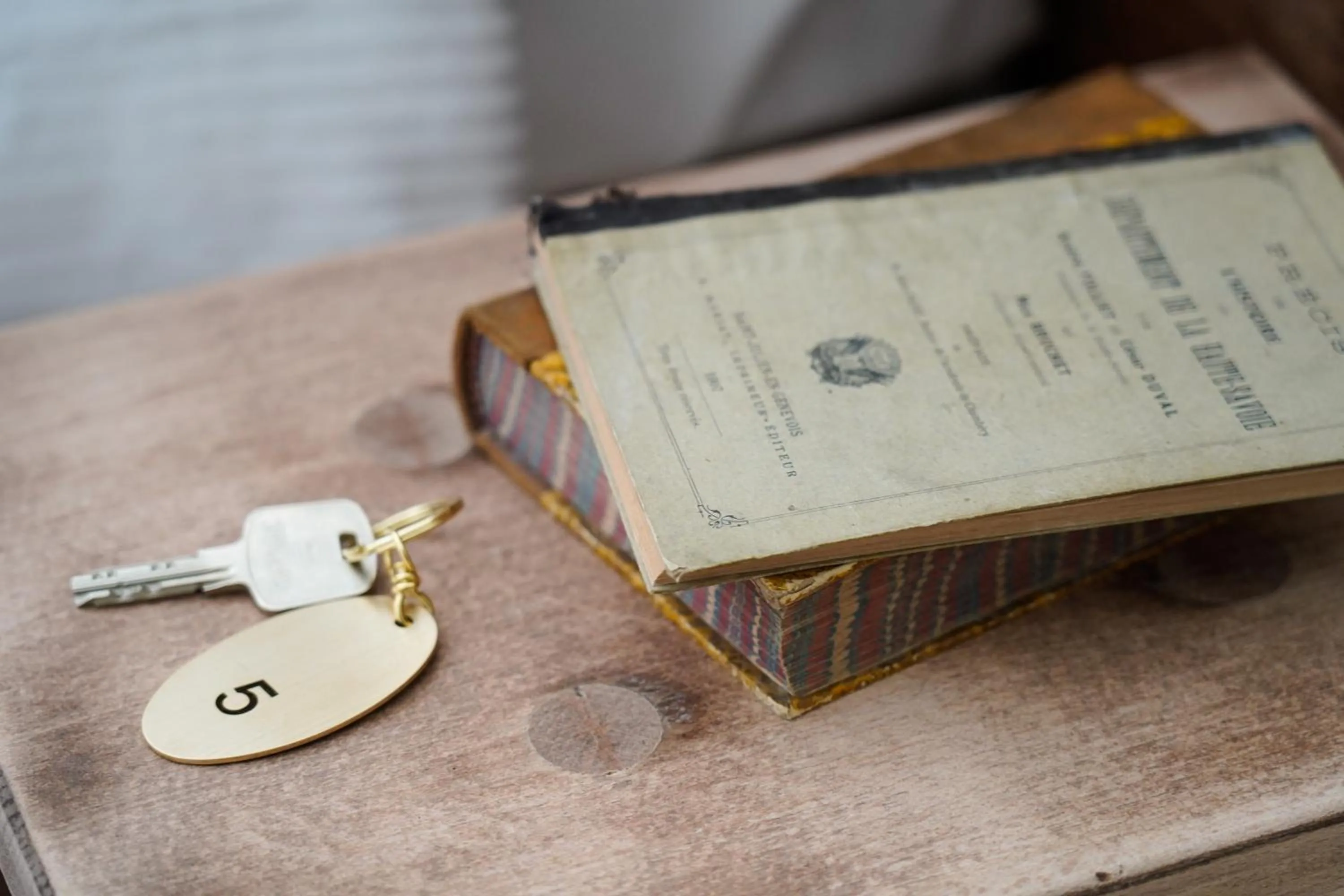 Decorative detail in Hôtel Le Mouton Bleu