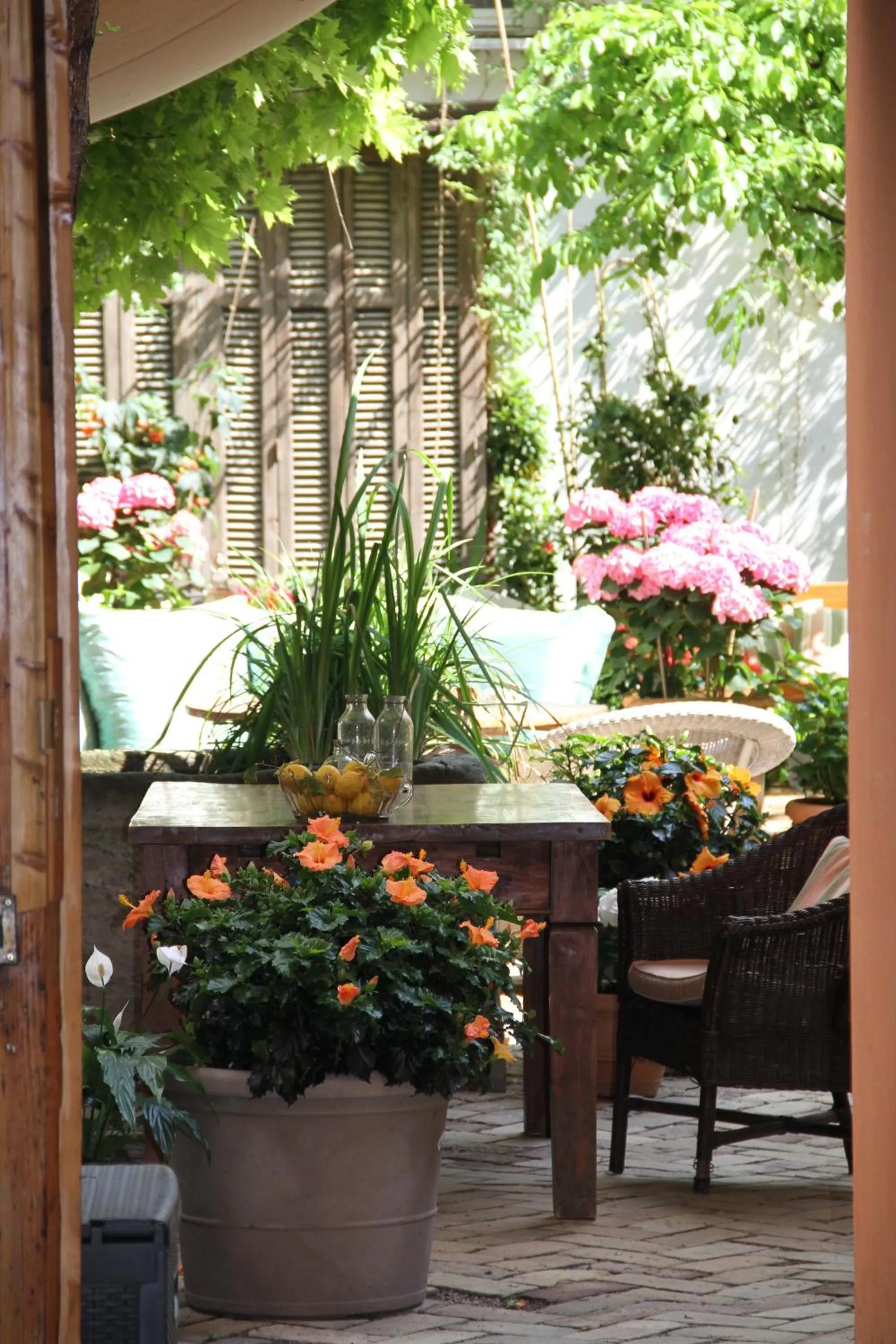 Patio in ackselhaus & blue Home