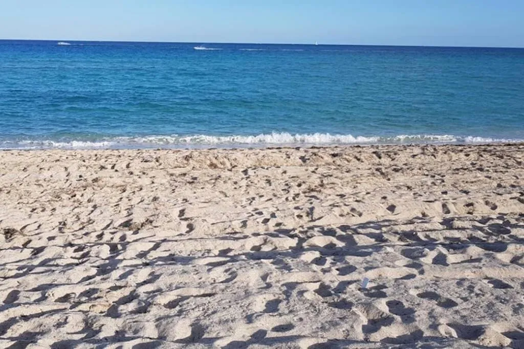 Beach in Beautiful Apartment Steps Away from the Beach