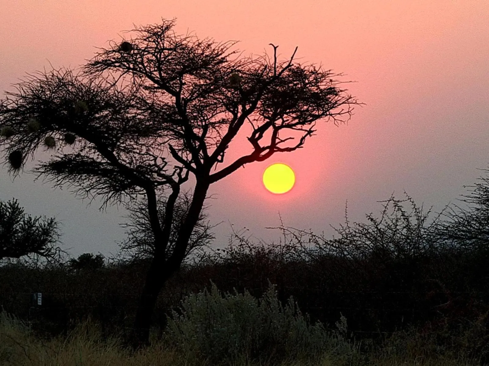 Natural landscape in West Nest Lodge