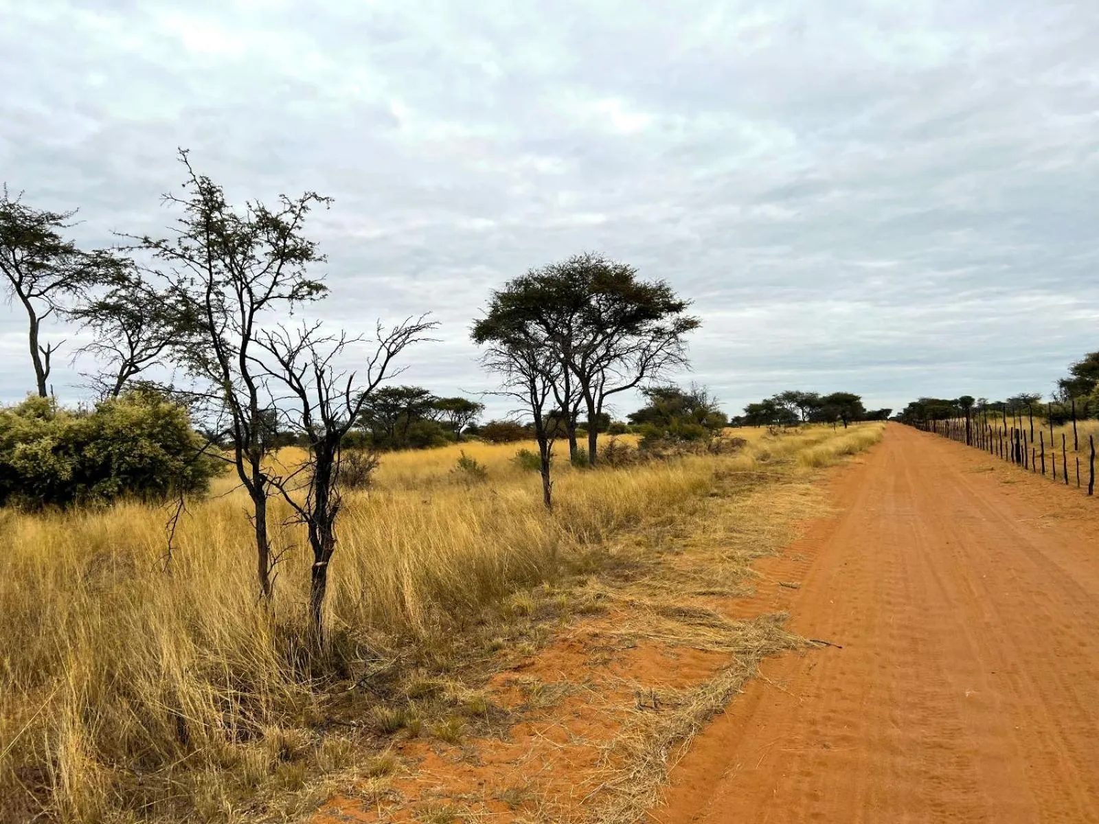 Natural landscape in West Nest Lodge