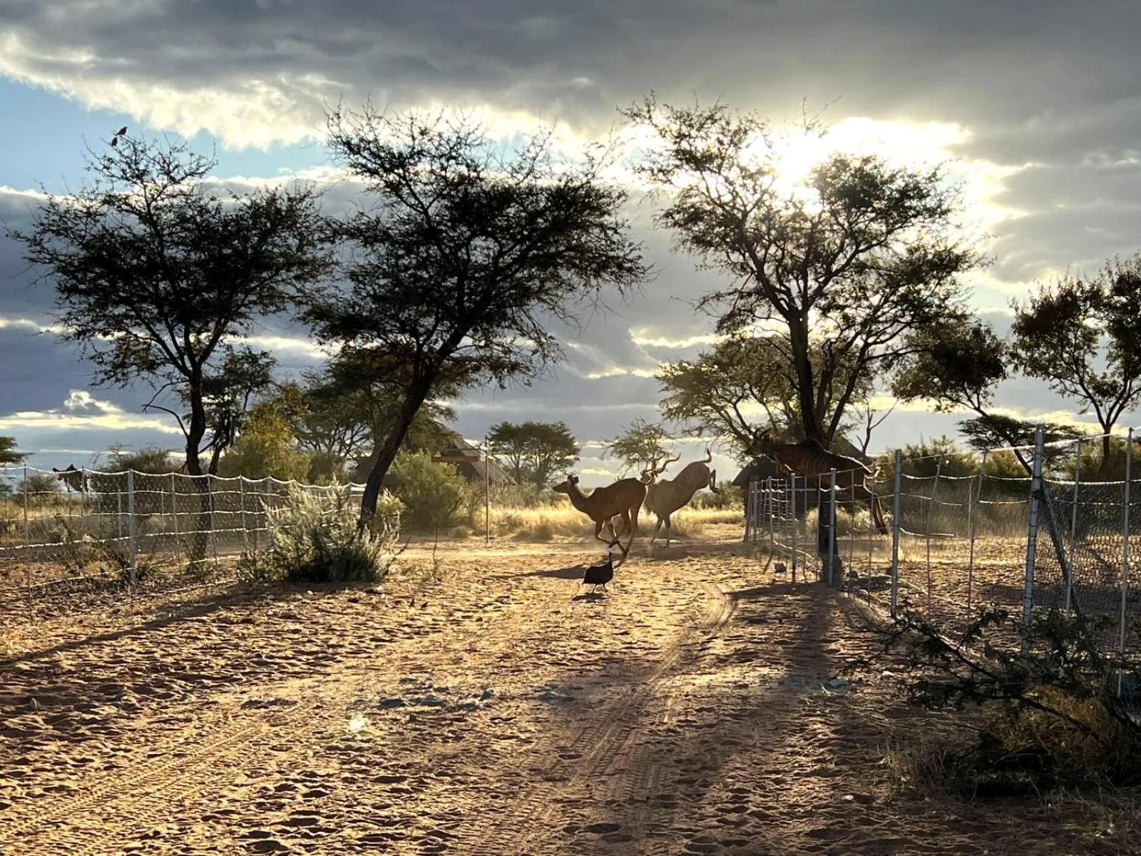 Natural landscape in West Nest Lodge