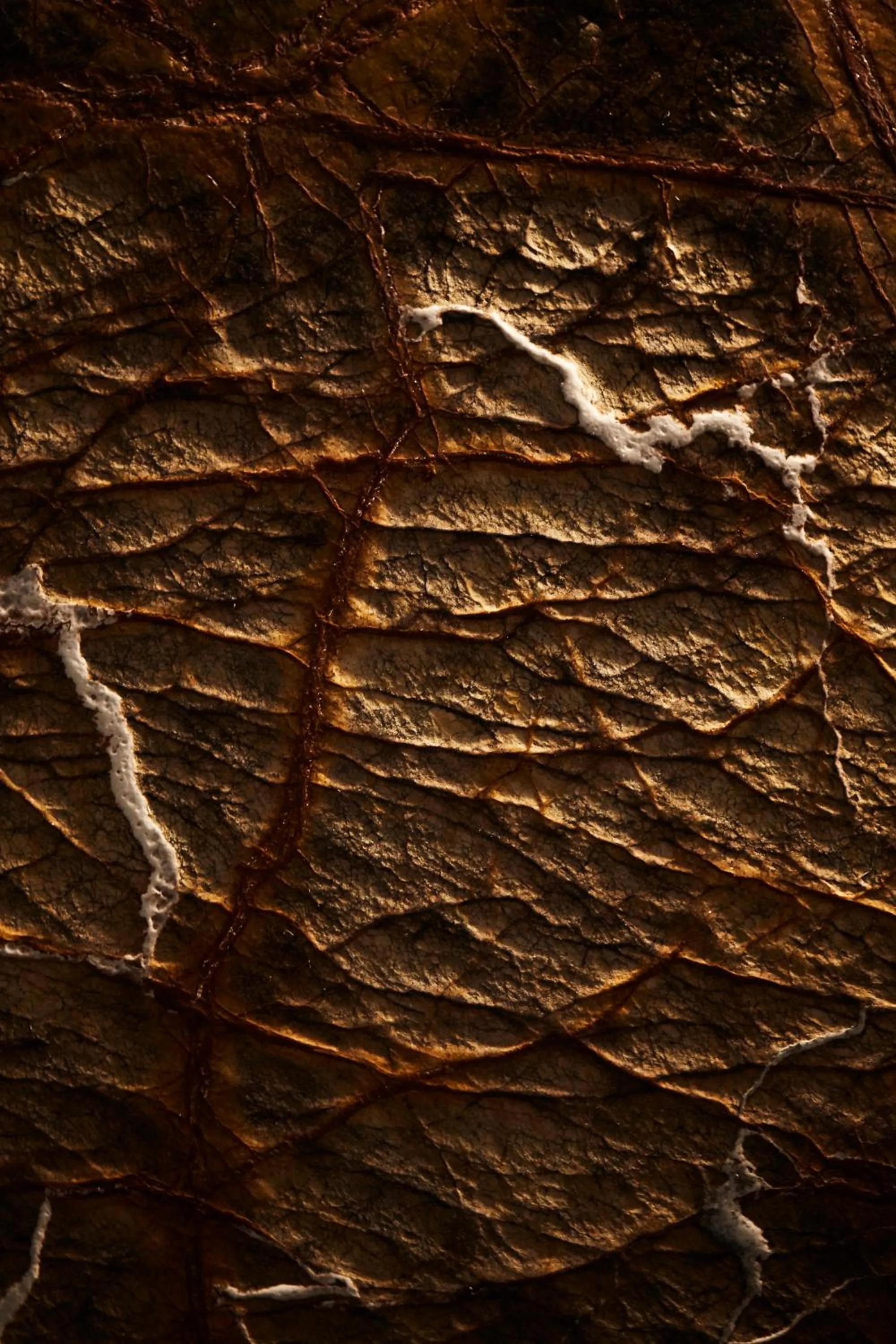 Property building in Nonam Boutique Hotel Gent