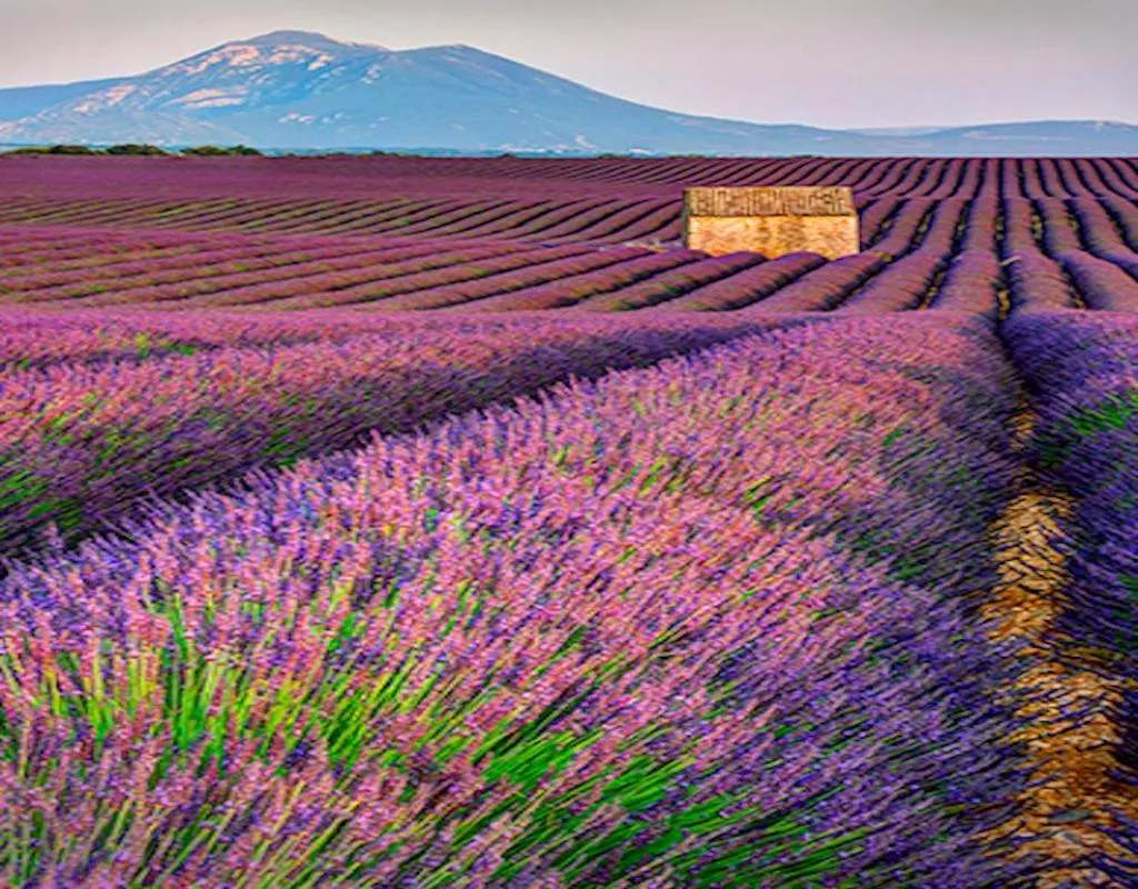 Natural landscape in Six chandelles m'étaient comptées
