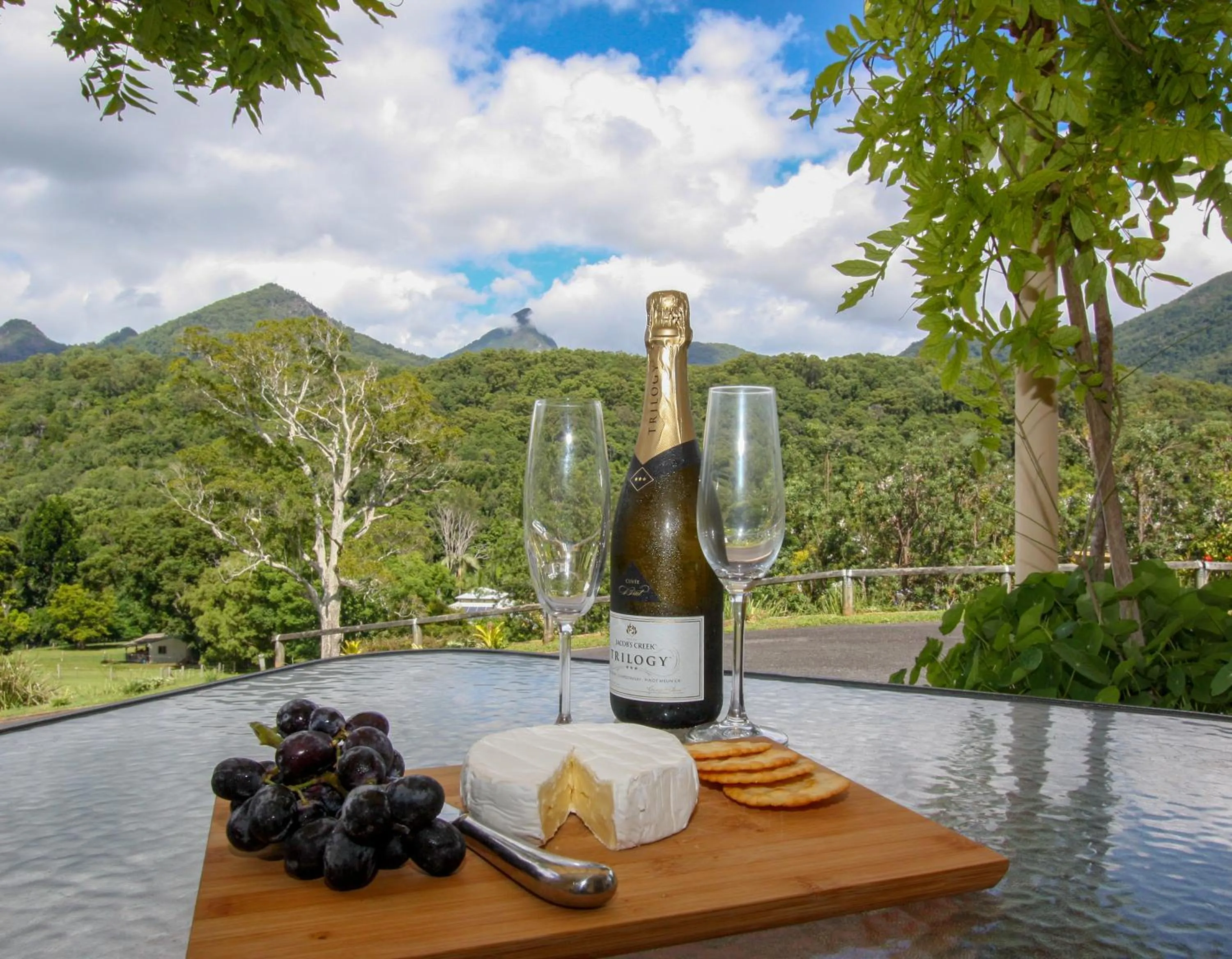 Alcoholic drinks in A view of Mount Warning