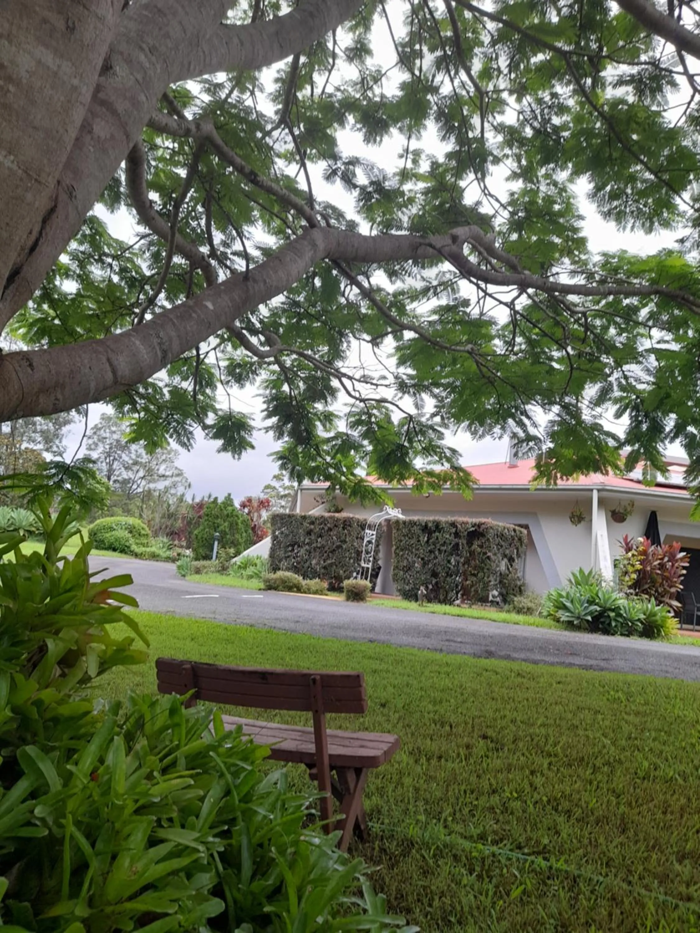 A view of Mount Warning