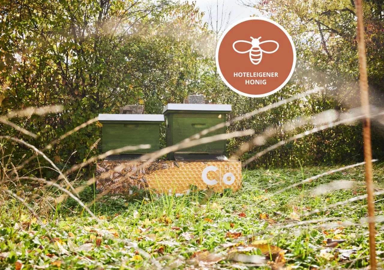 Garden in co56 Hotel Chemnitz