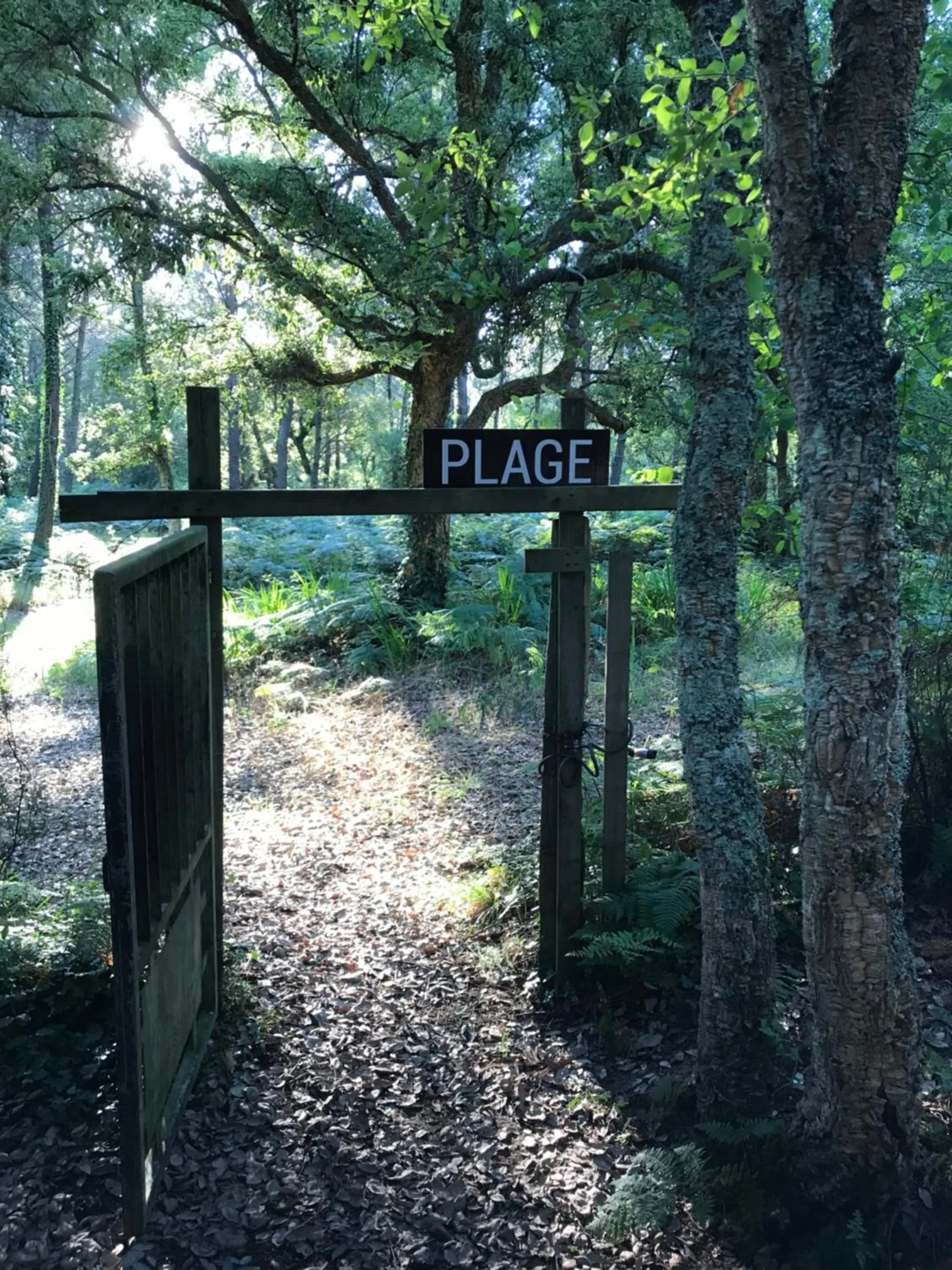 Garden view in Airial du Seignanx