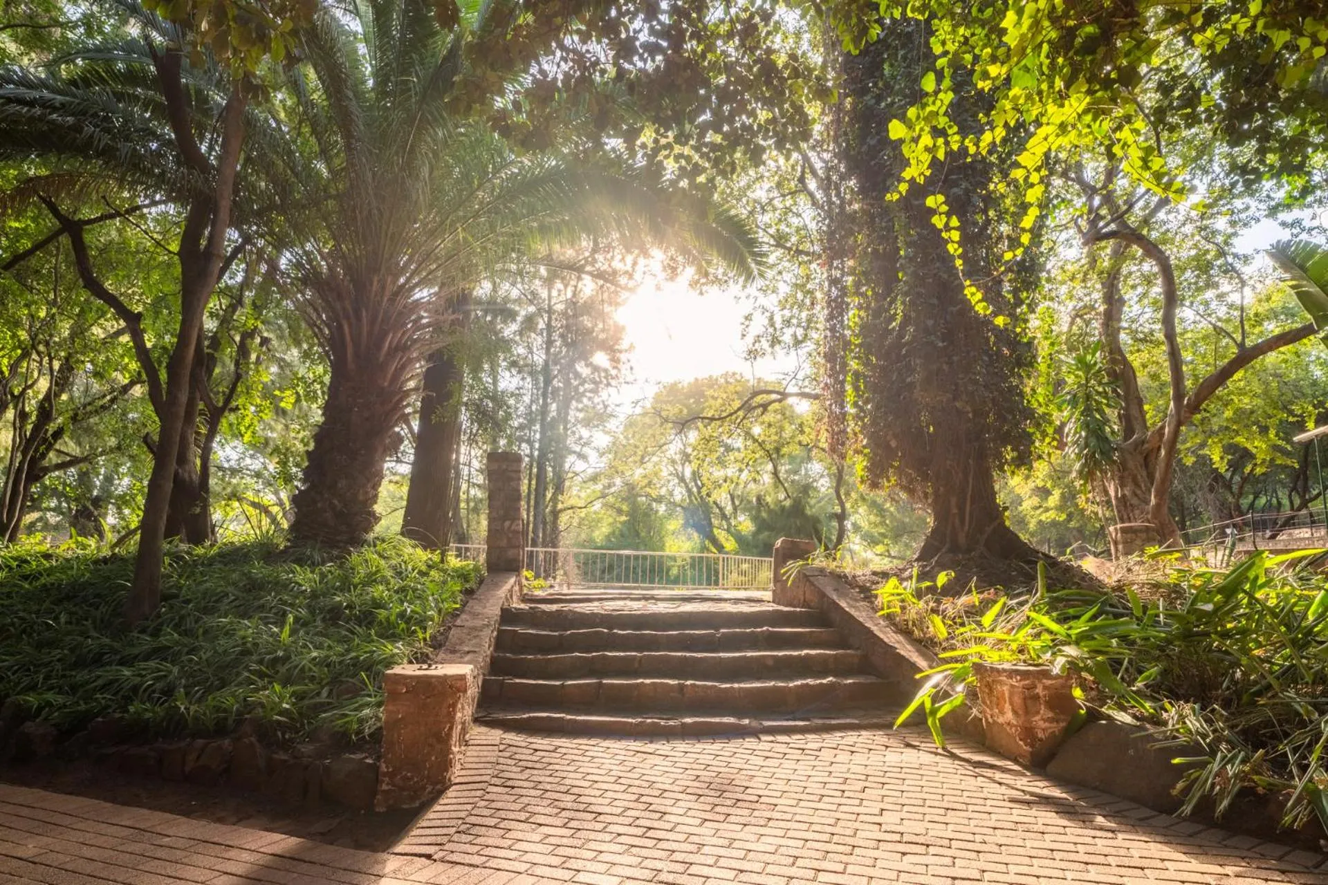 Garden in ATKV Buffelspoort