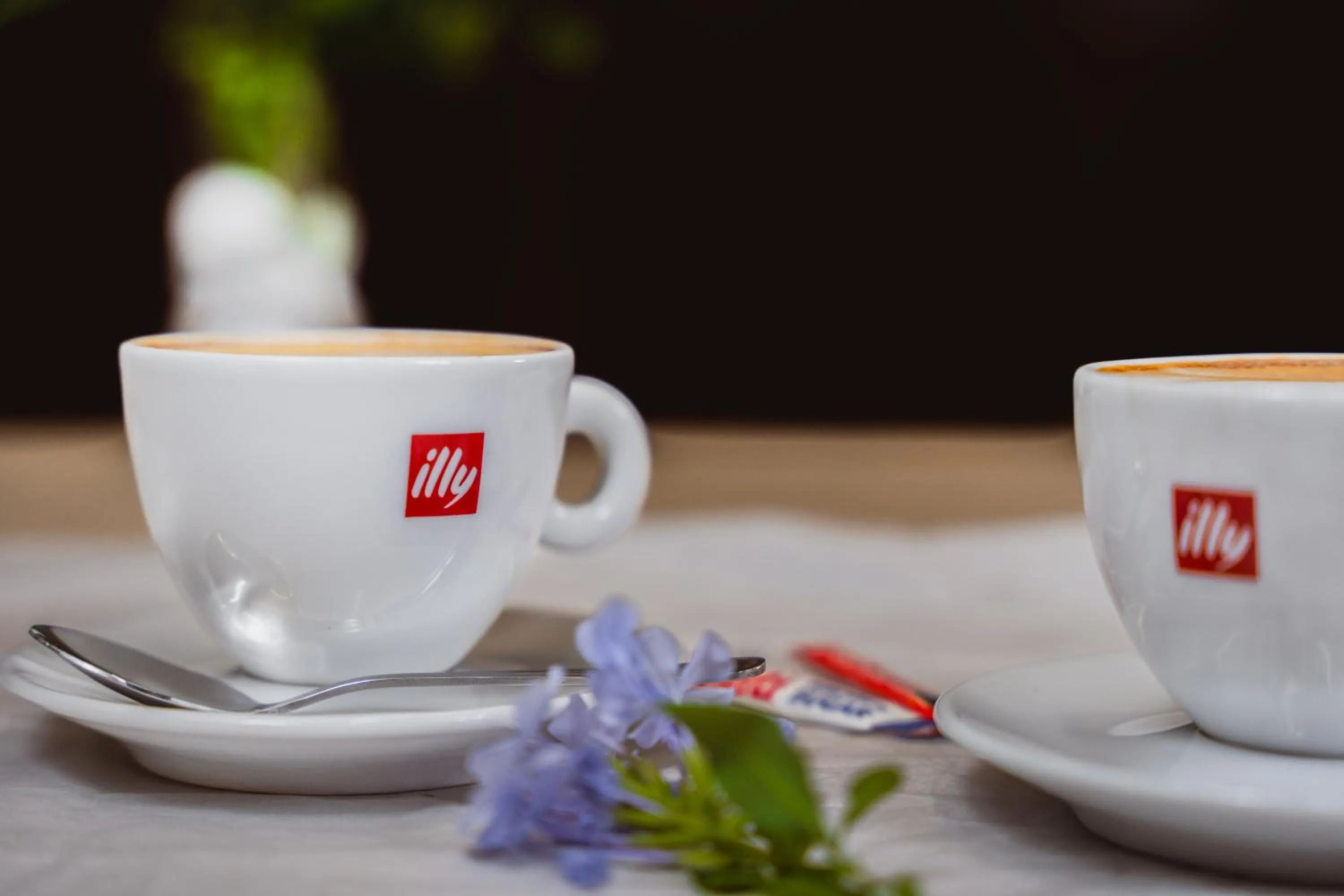 Food and drinks in ATKV Goudini Spa