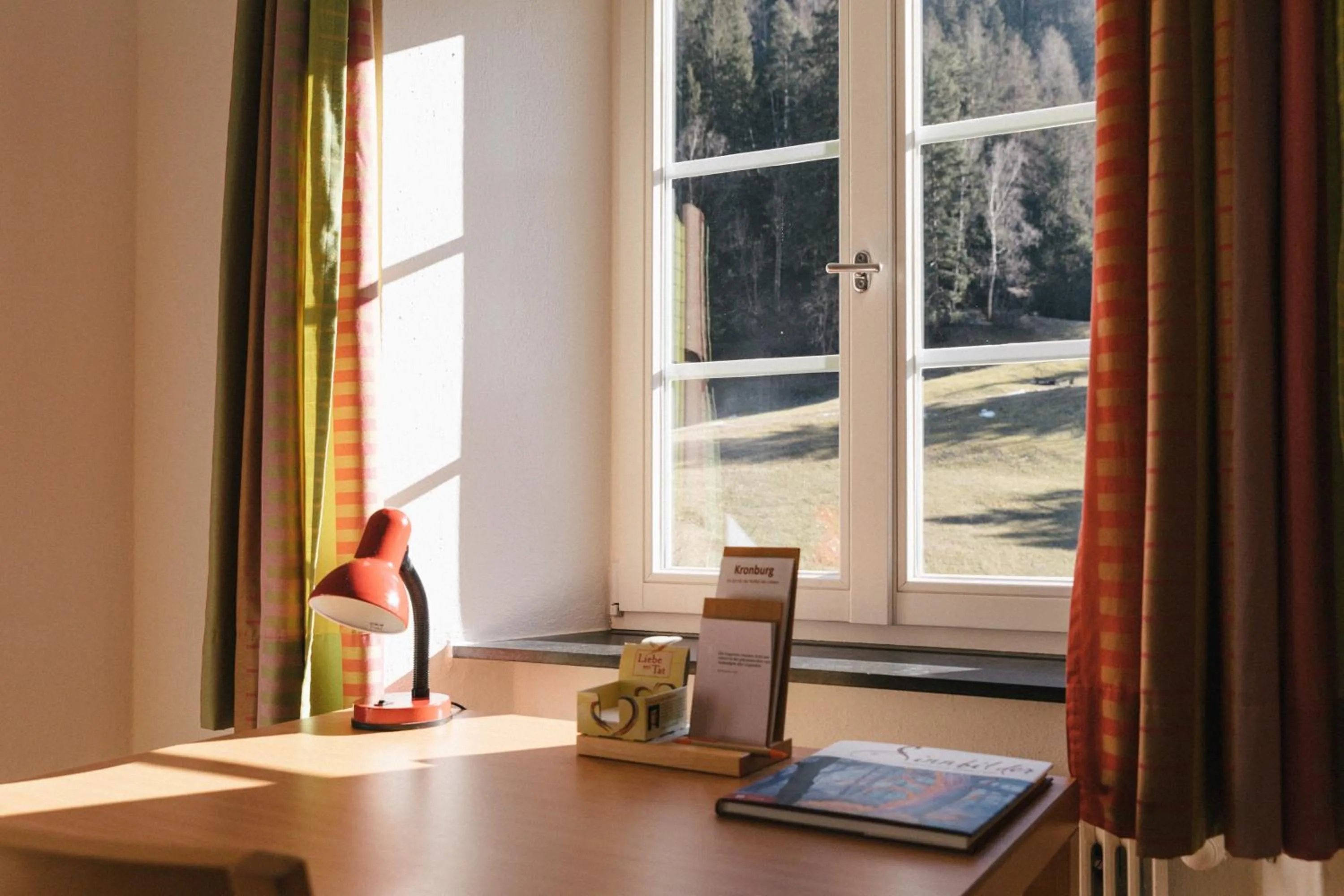 View (from property/room) in Klostergut Kronburg