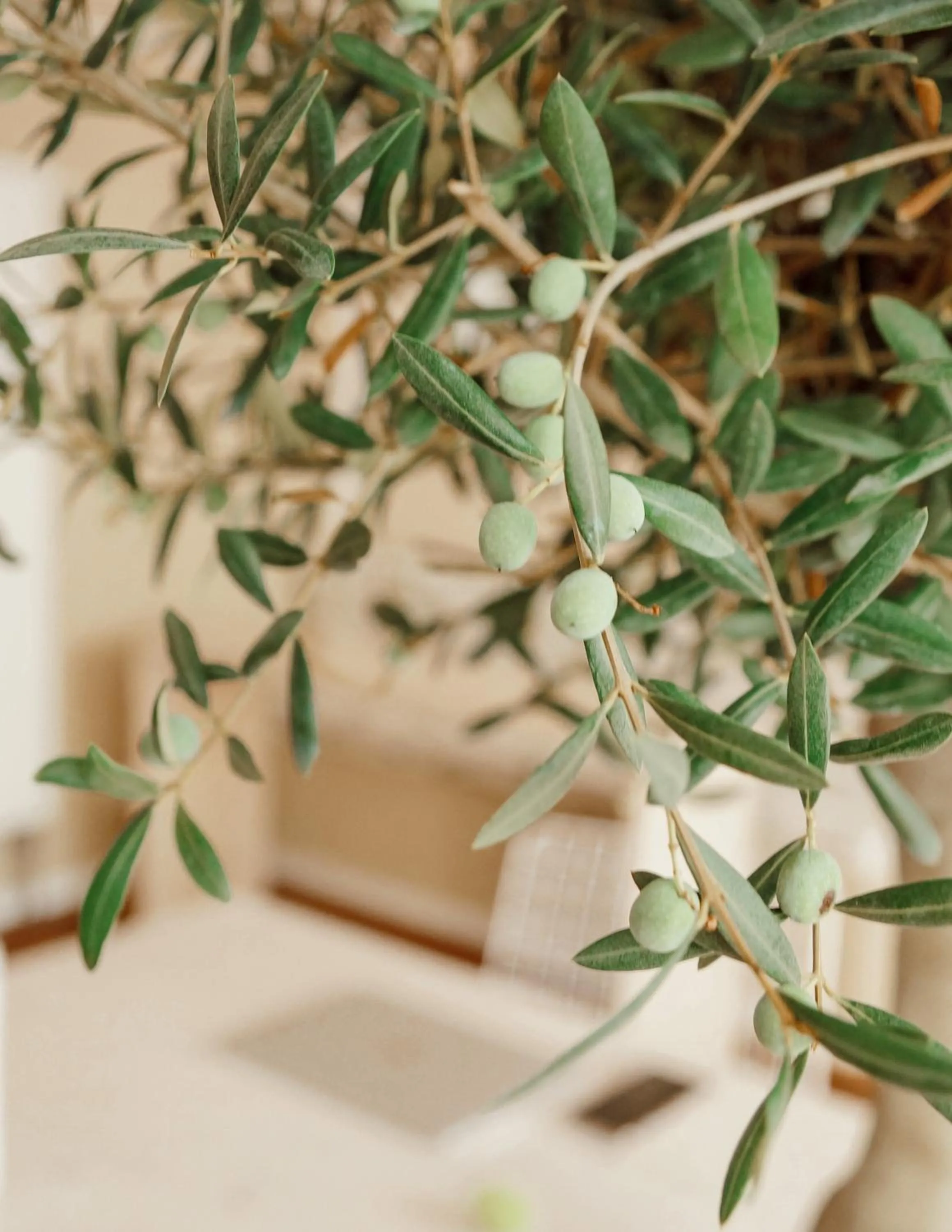 Other in Town Hotel Wiesbaden - kleines Privathotel in Bestlage