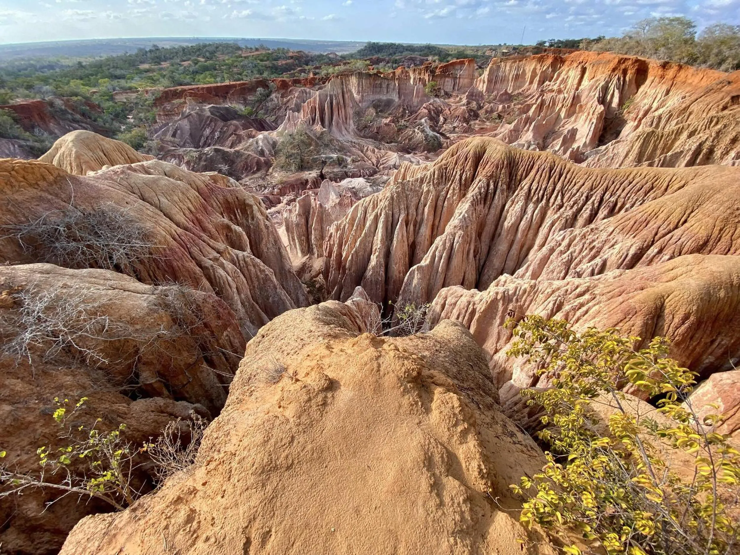 Activities in Nyumba Ya Mbuyu